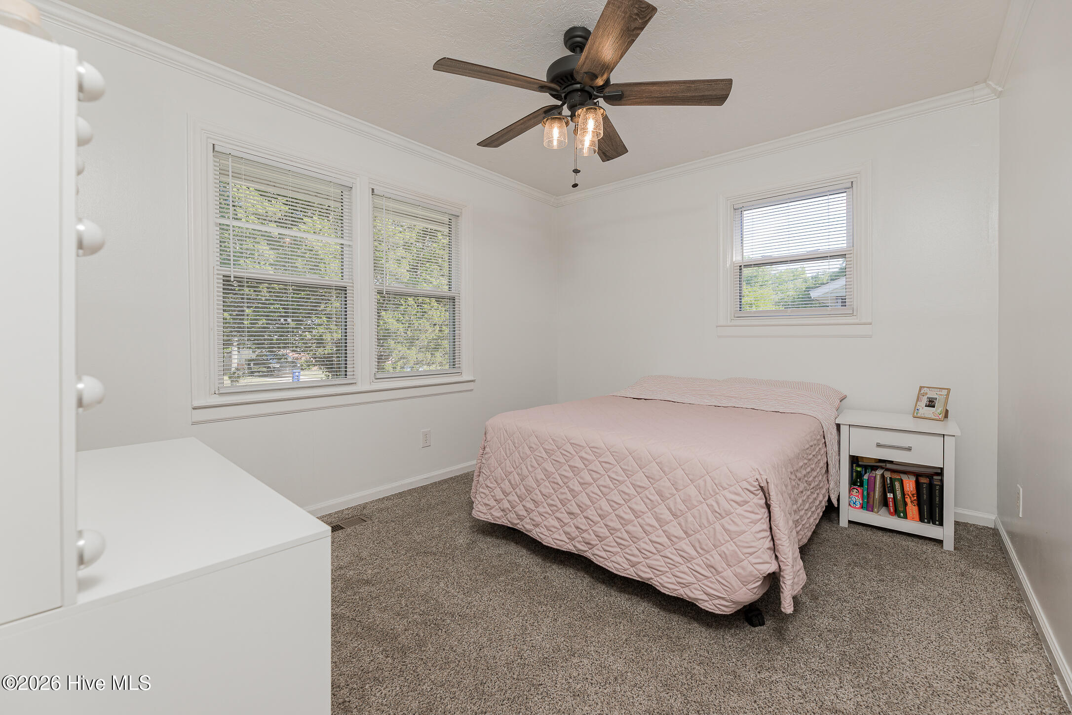 1009 River Street Property Photo 25
