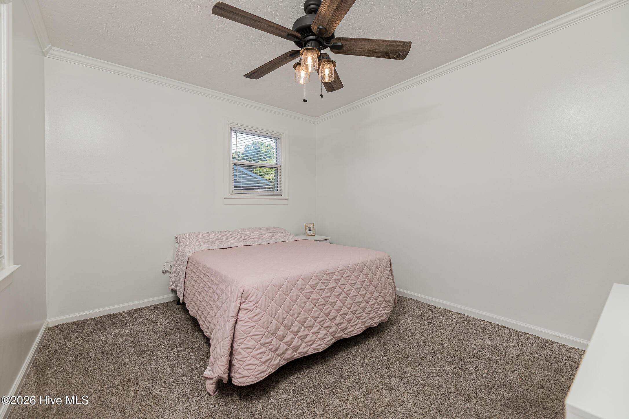 1009 River Street Property Photo 26