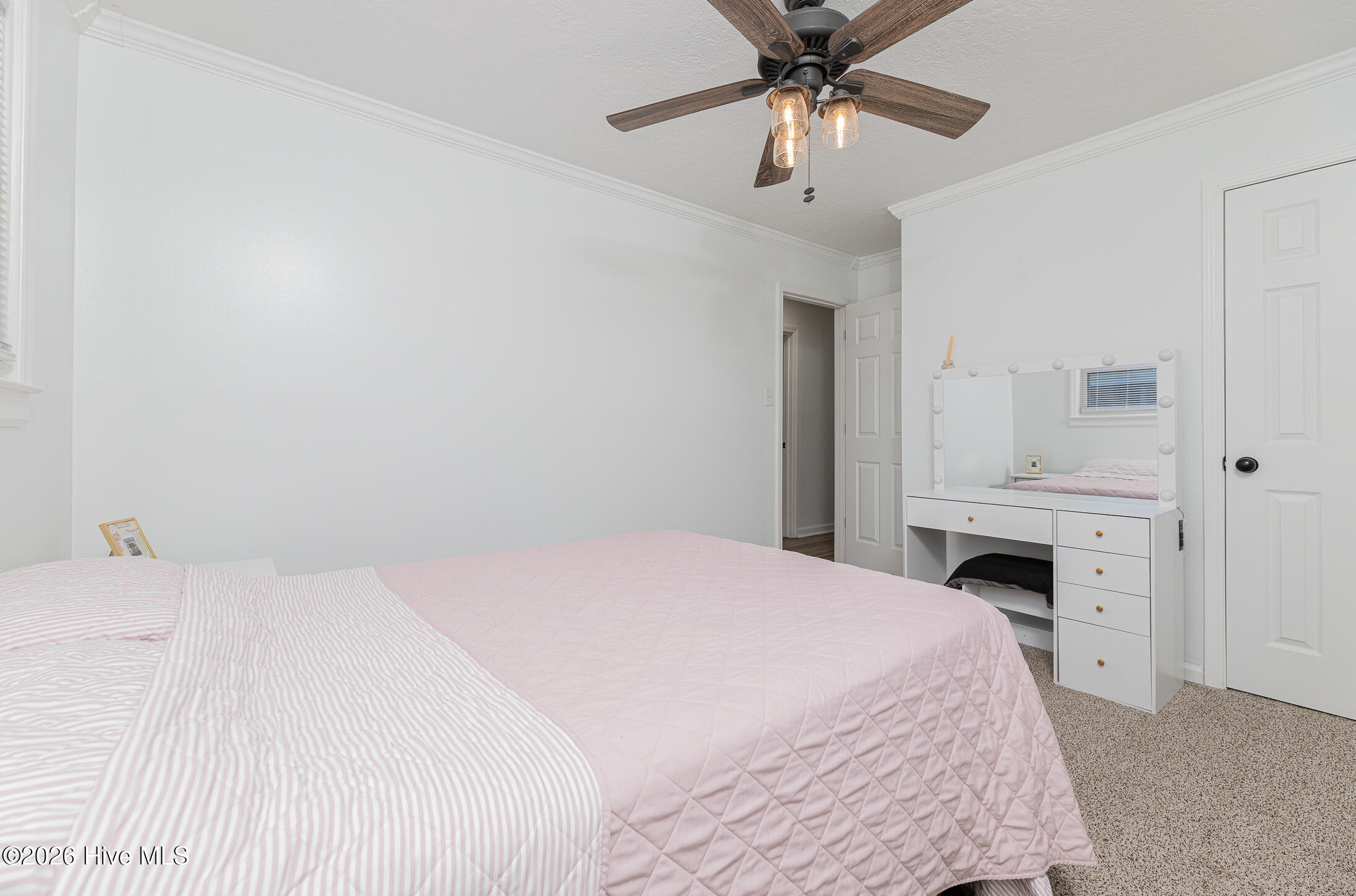 1009 River Street Property Photo 27