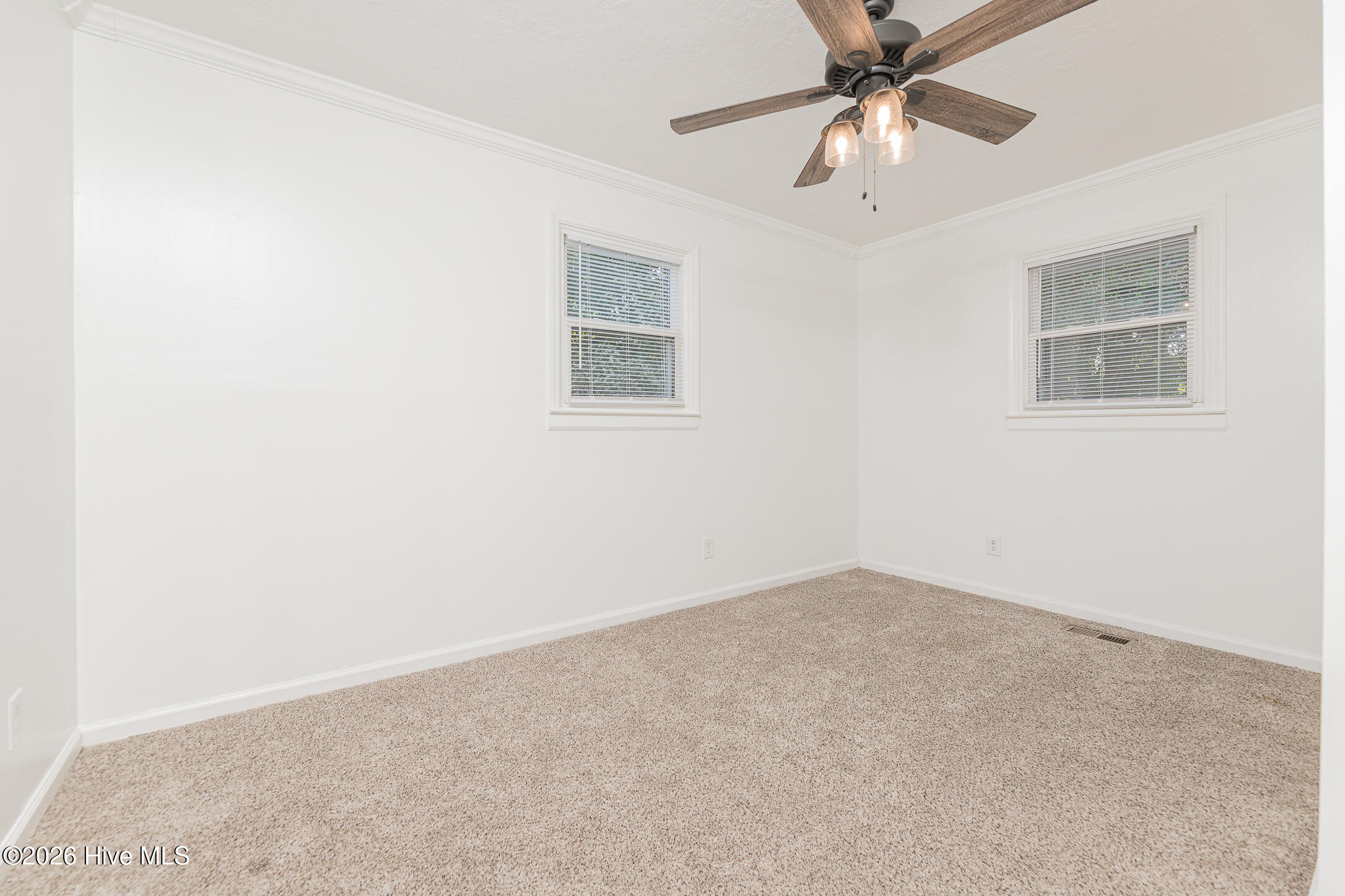 1009 River Street Property Photo 29