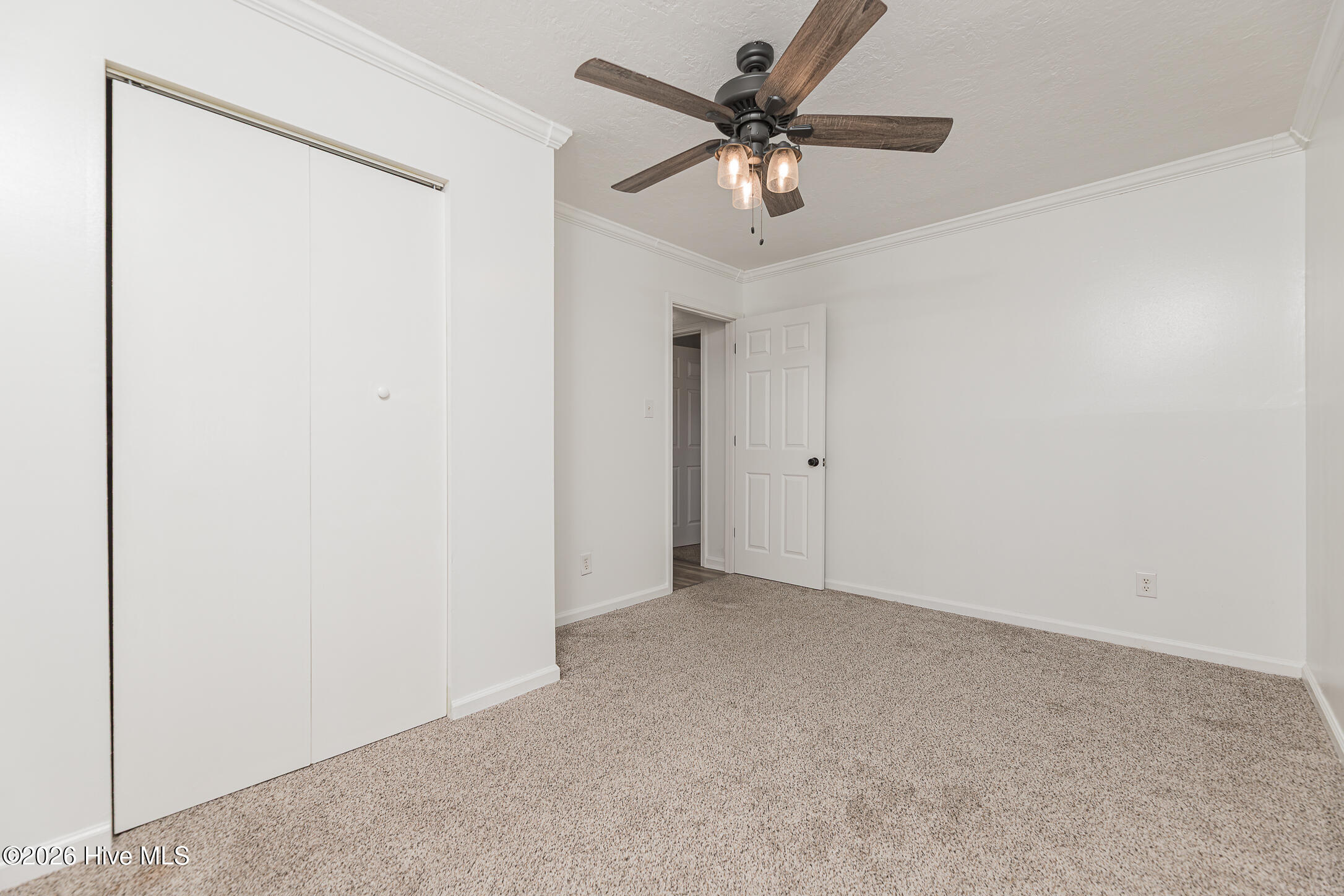 1009 River Street Property Photo 31