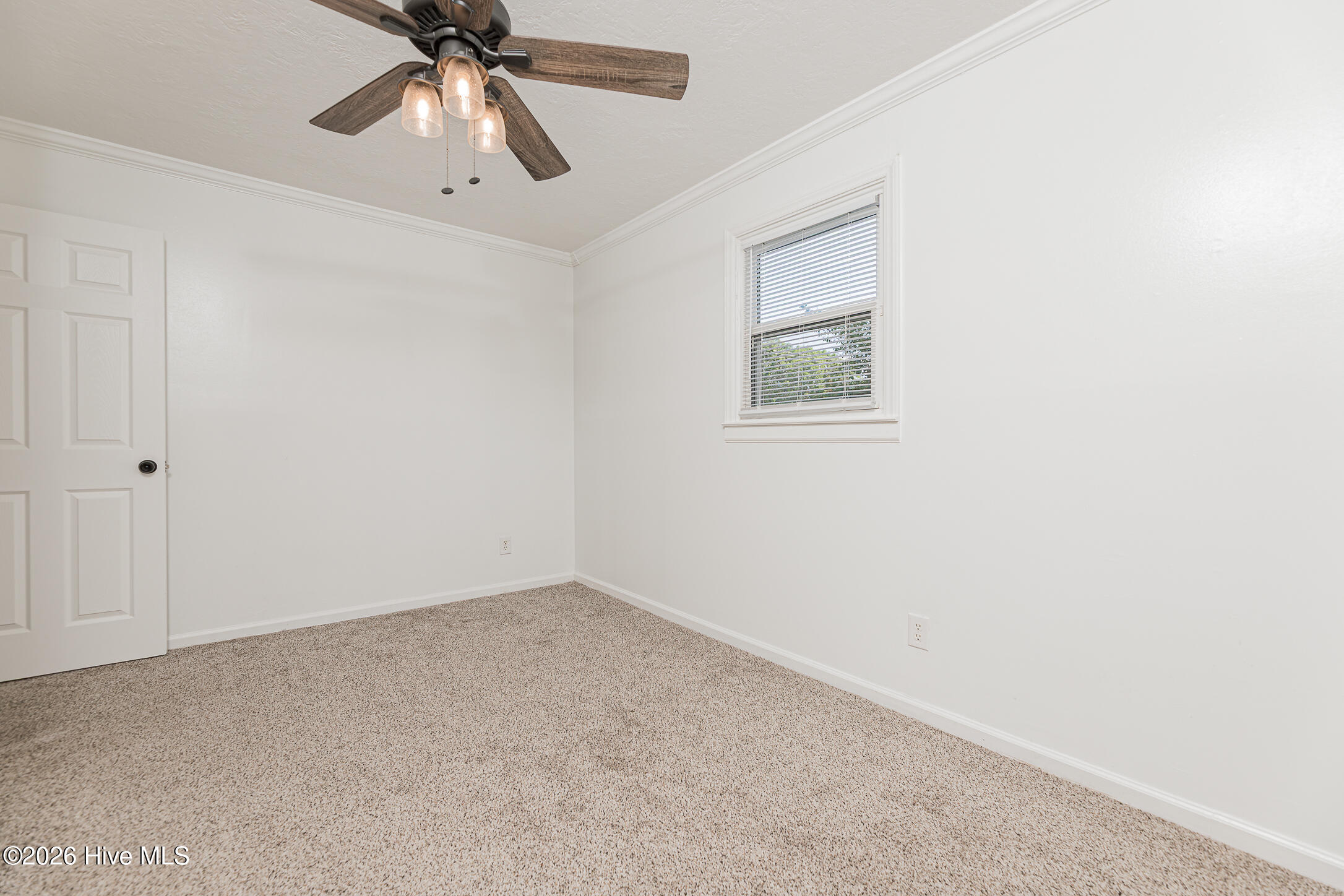 1009 River Street Property Photo 32