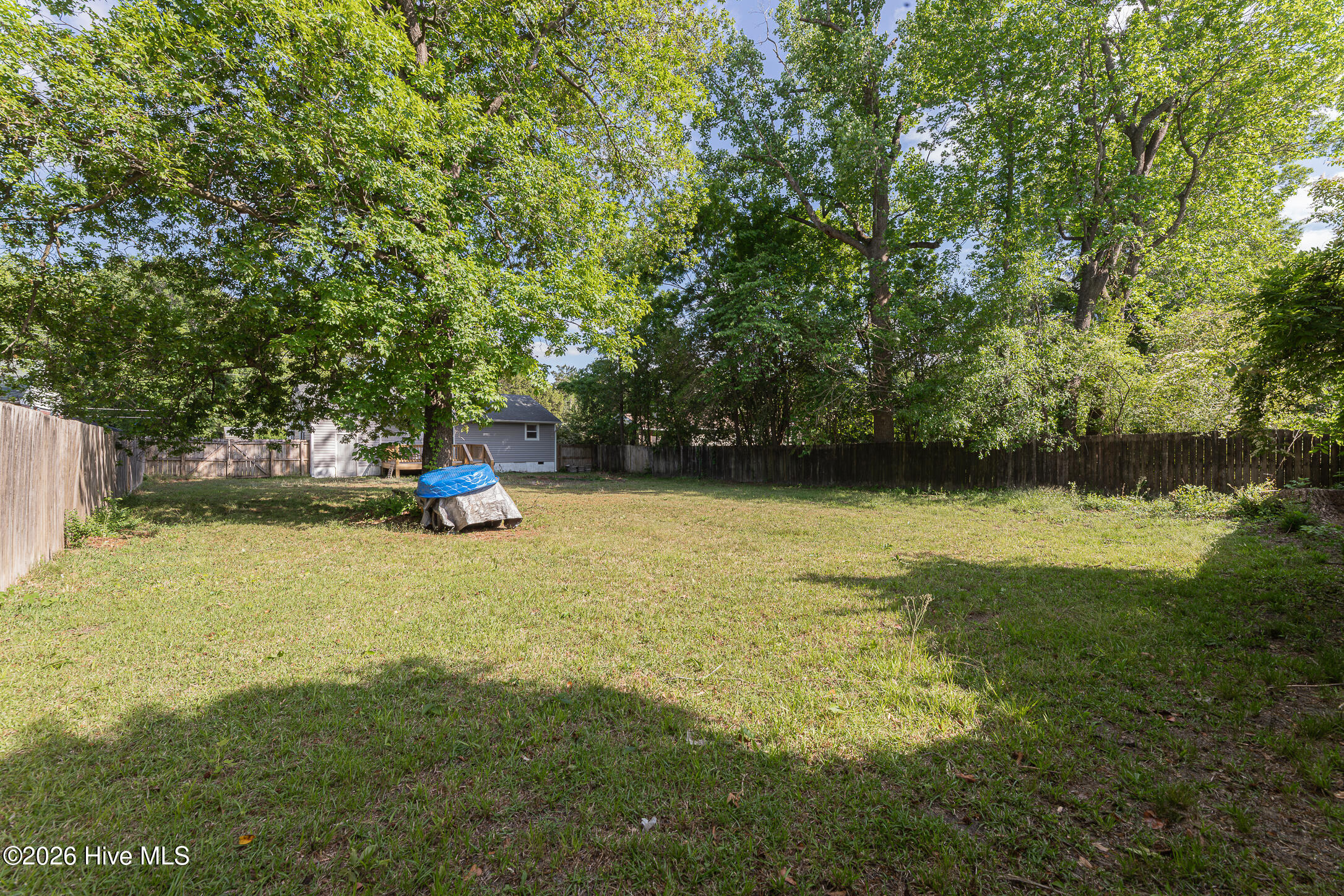 1009 River Street Property Photo 39