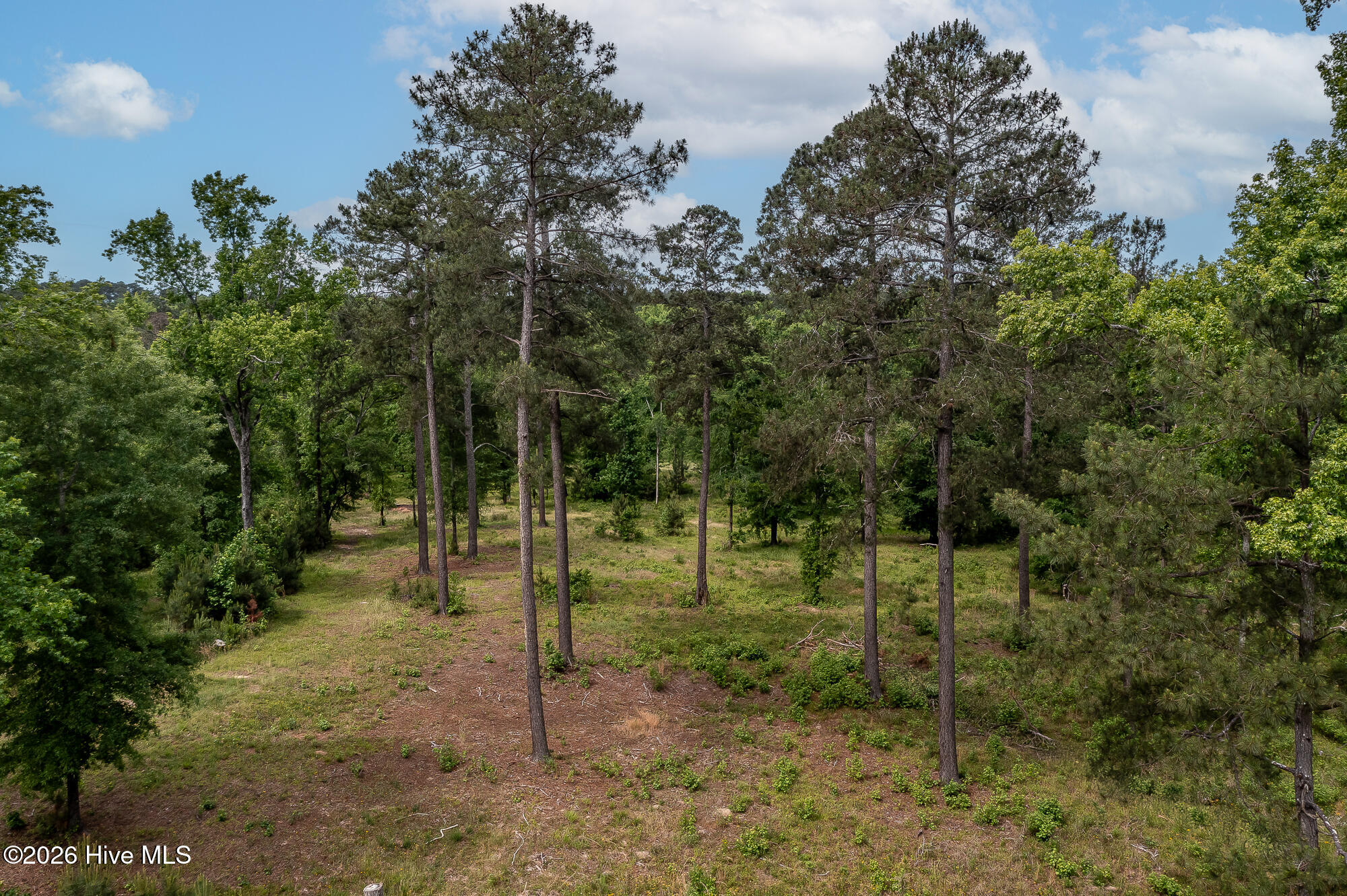 755 Louisville Road Property Photo 1
