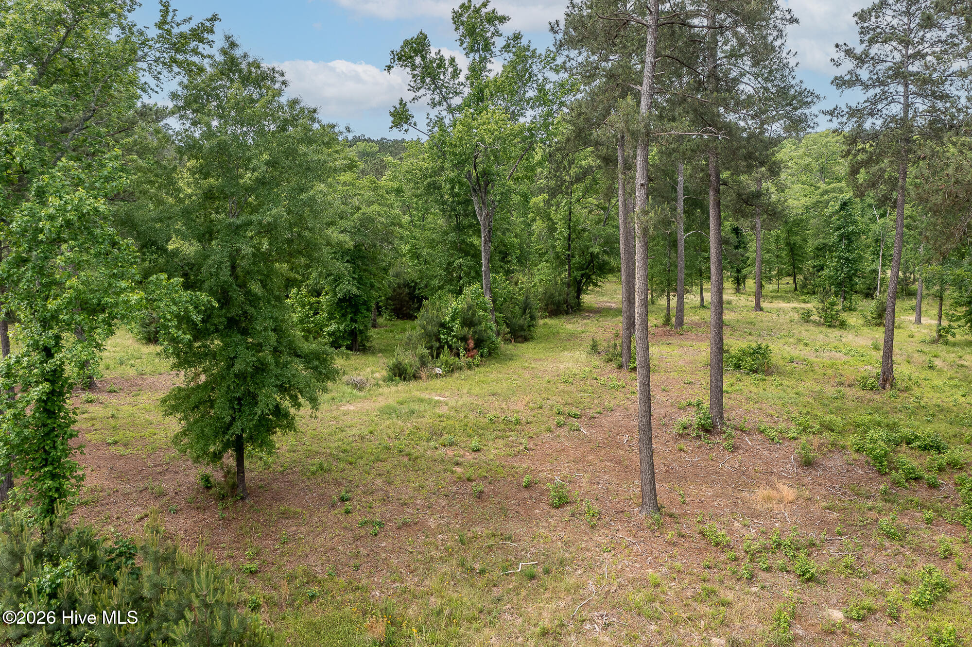 755 Louisville Road Property Photo 3