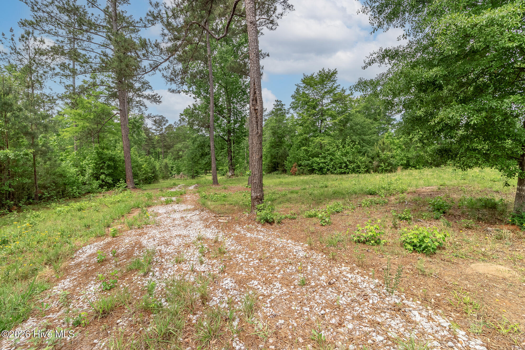 755 Louisville Road Property Photo 4