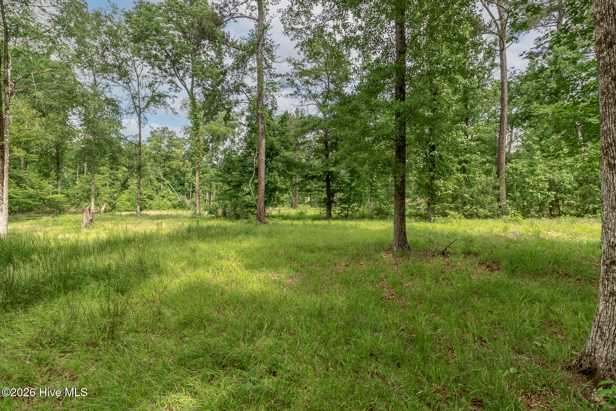 755 Louisville Road Property Photo 6