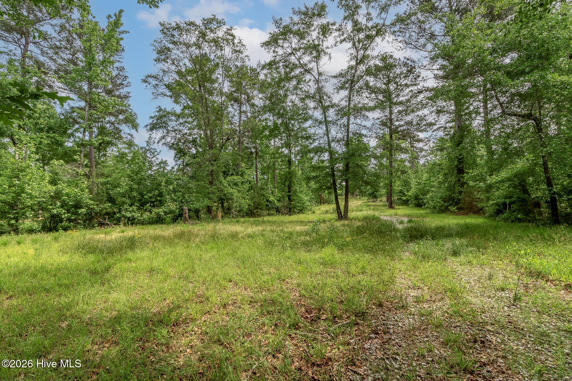 755 Louisville Road Property Photo 8