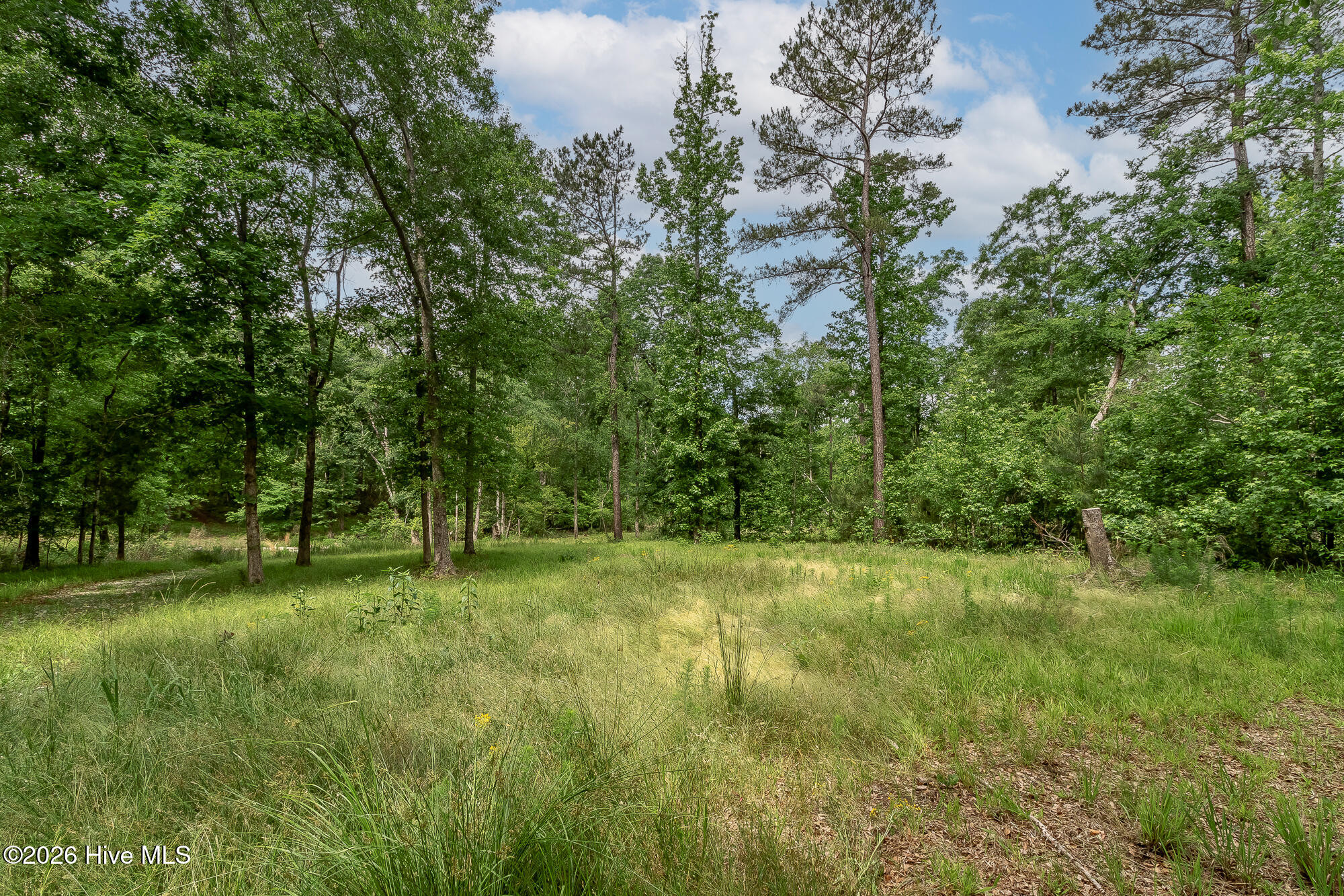 755 Louisville Road Property Photo 9