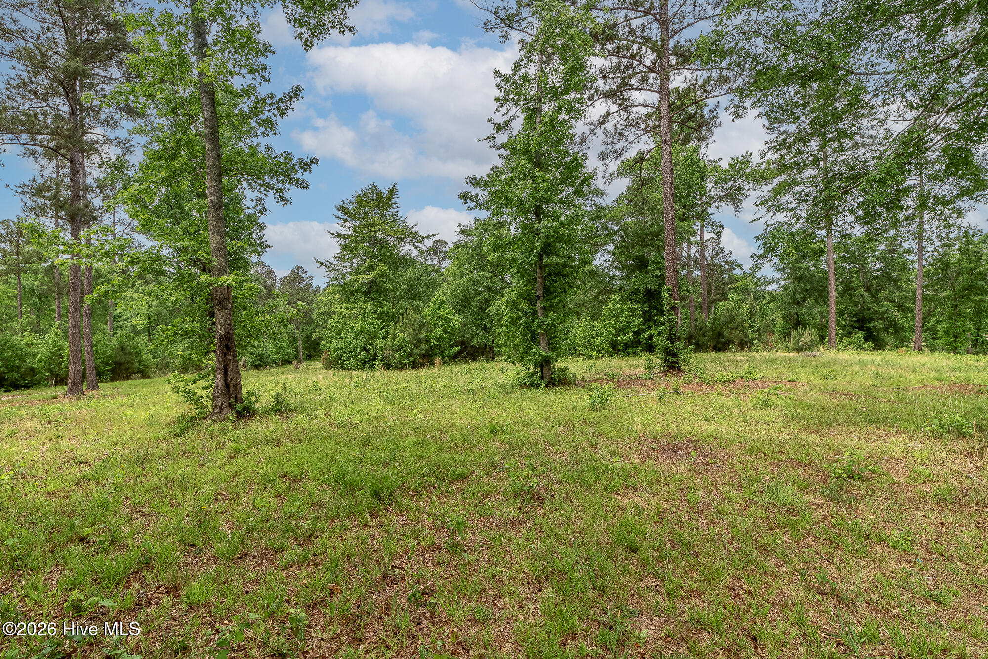 755 Louisville Road Property Photo 12