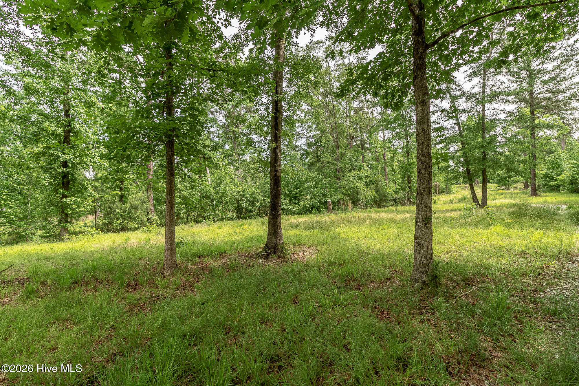 755 Louisville Road Property Photo 33