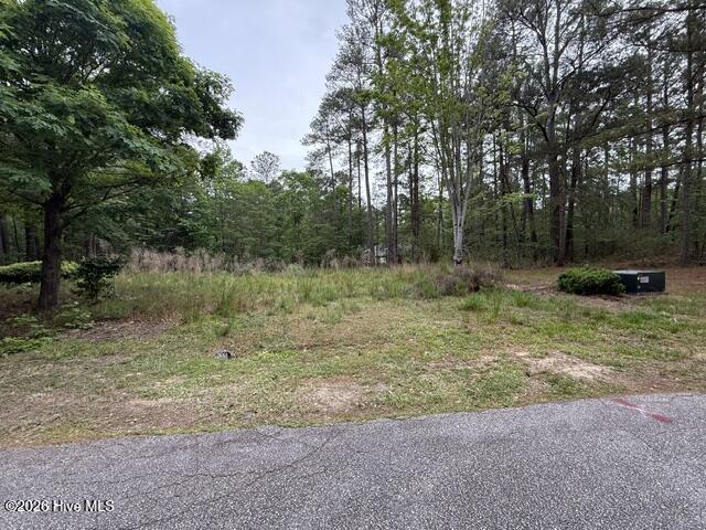 128 Royal Pine Lane Property Photo 29