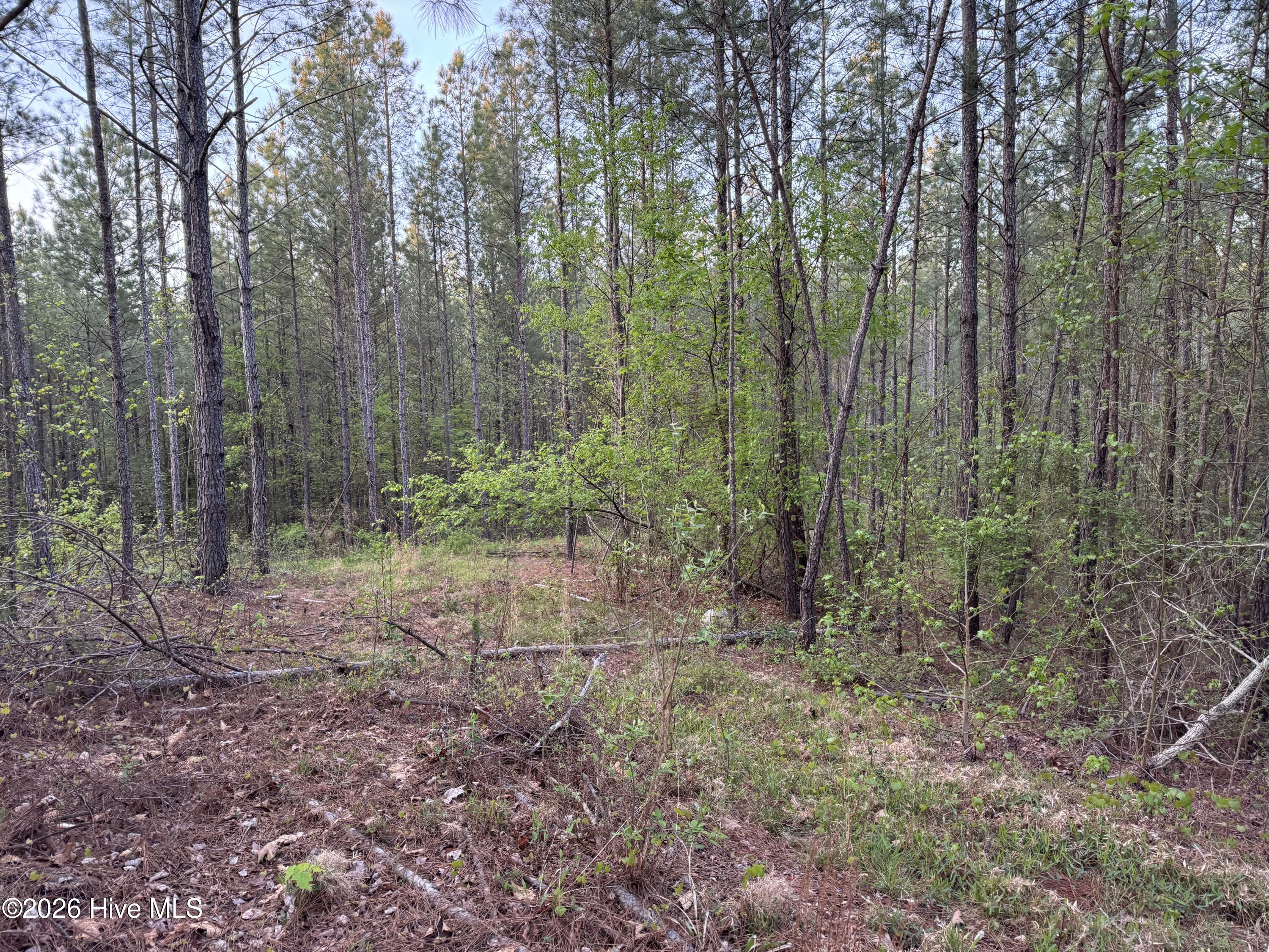 0 Cartledge Creek Road Property Photo 33