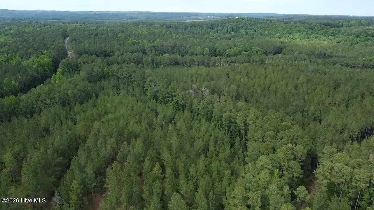 0 Cartledge Creek Road Property Photo 6