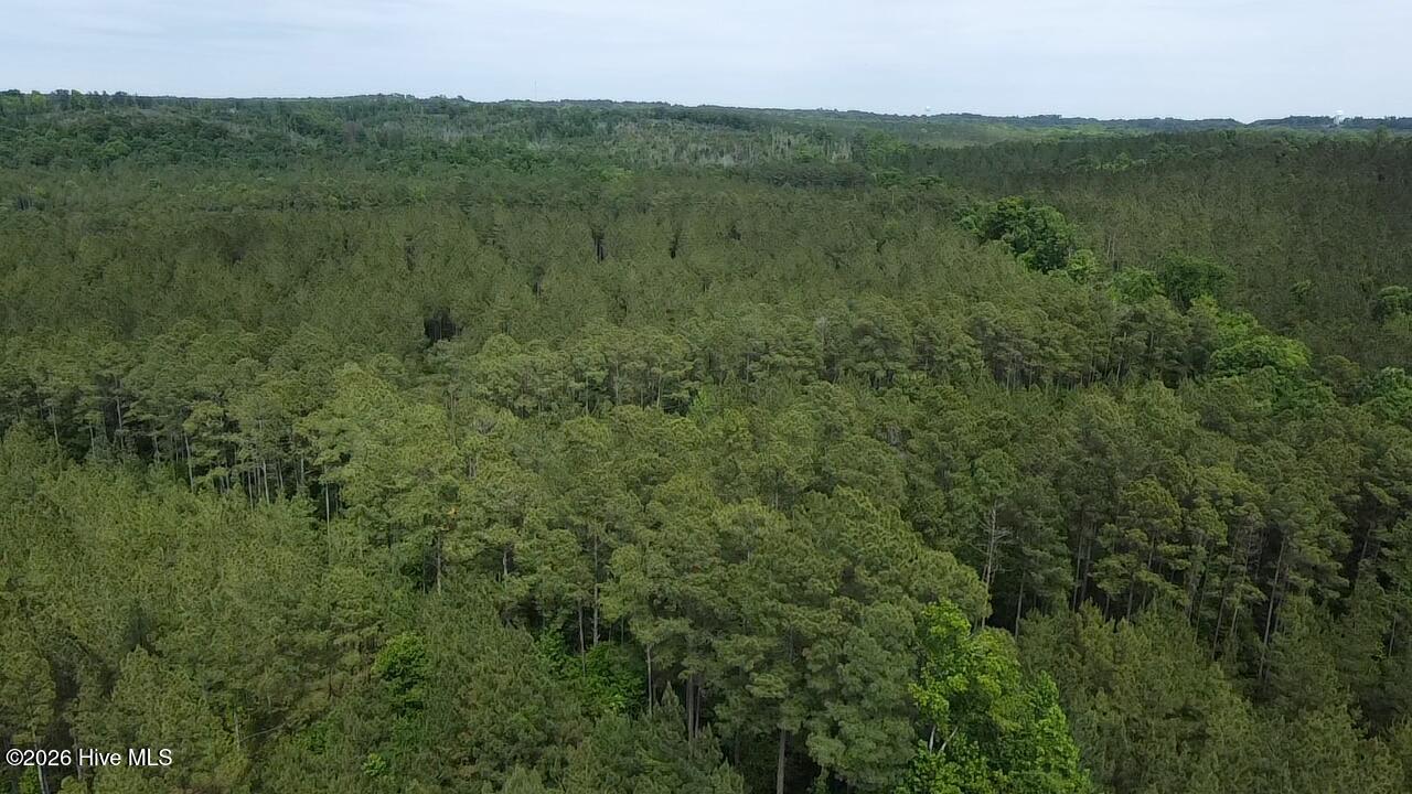 0 Cartledge Creek Road Property Photo 7