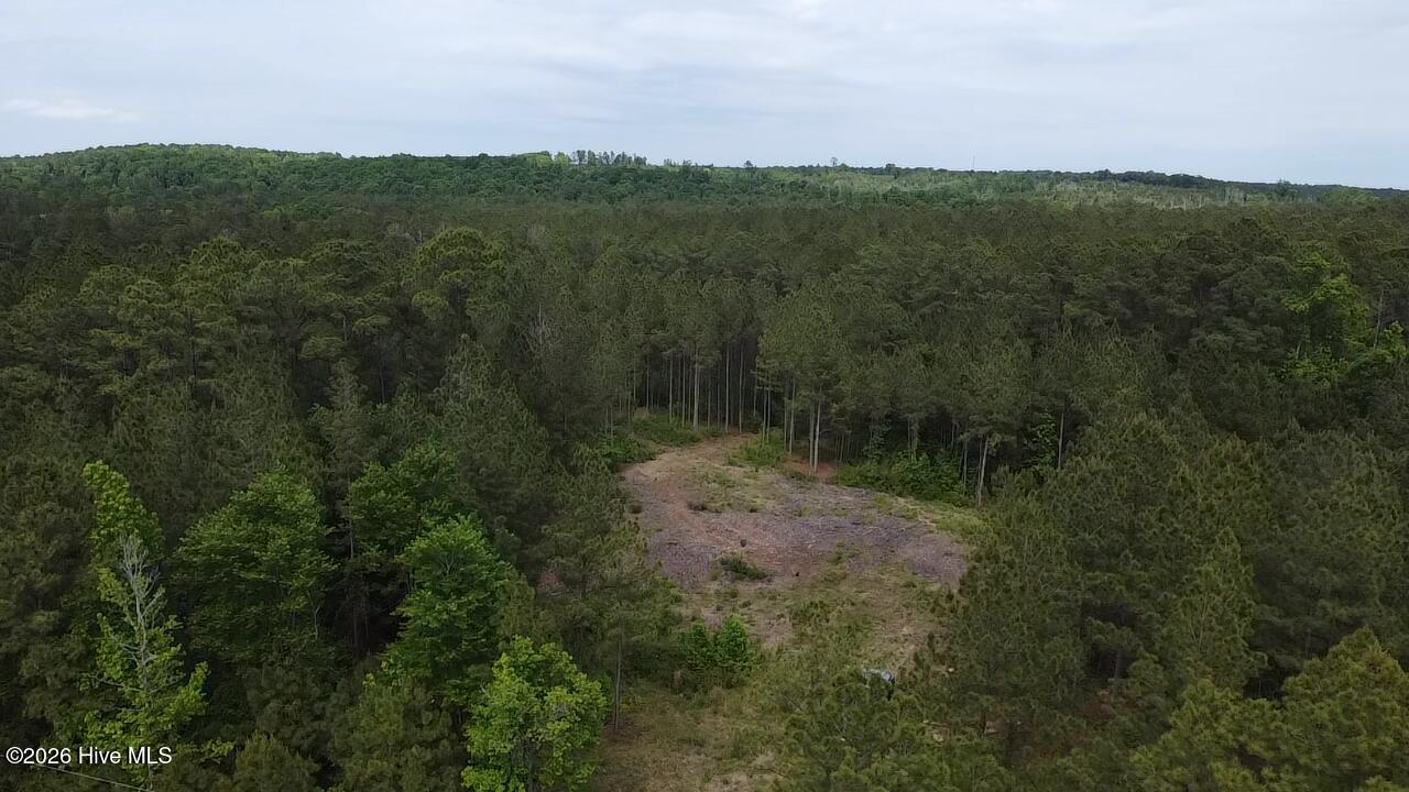 0 Cartledge Creek Road Property Photo 8