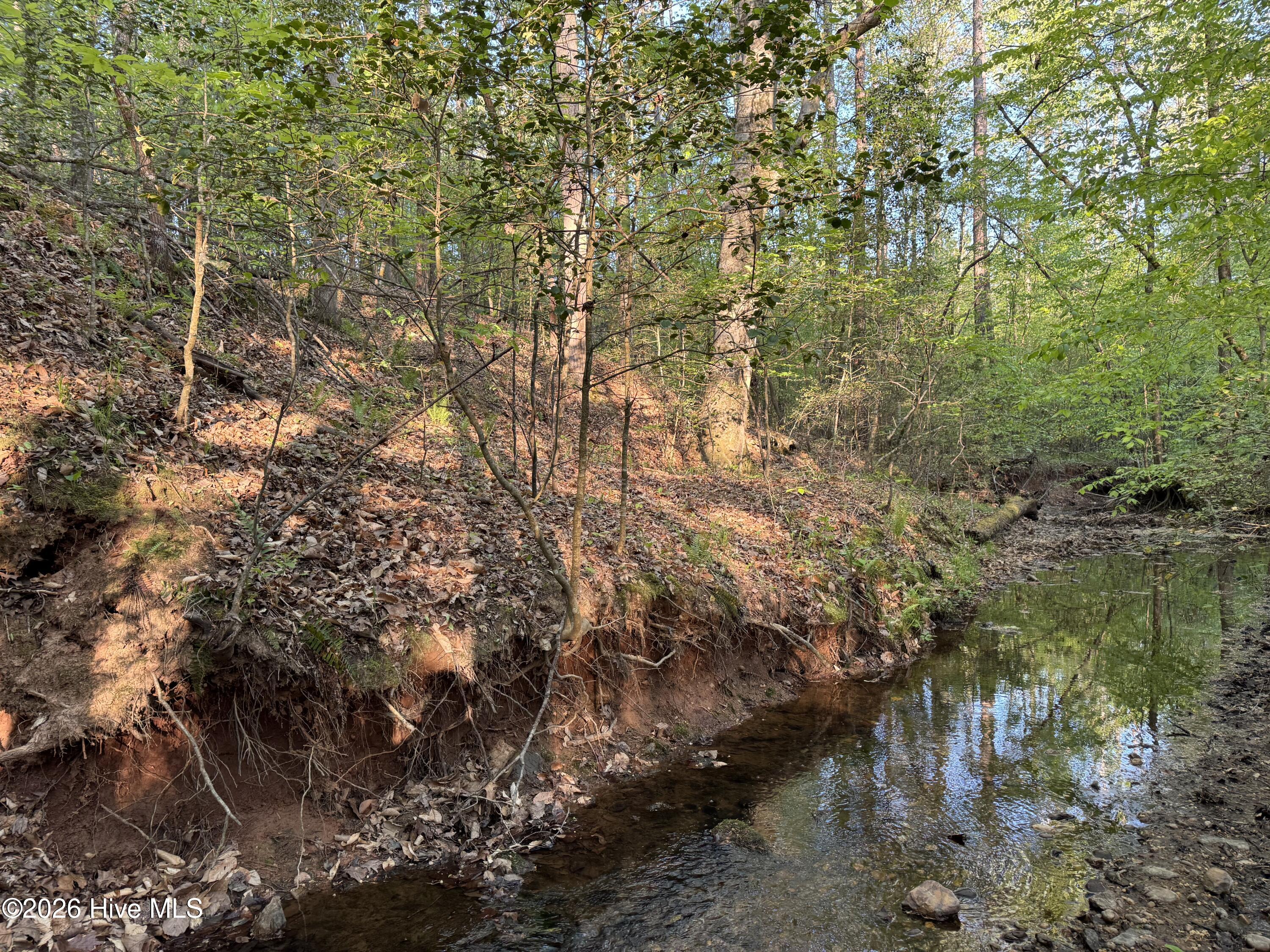 0 Cartledge Creek Road Property Photo 11