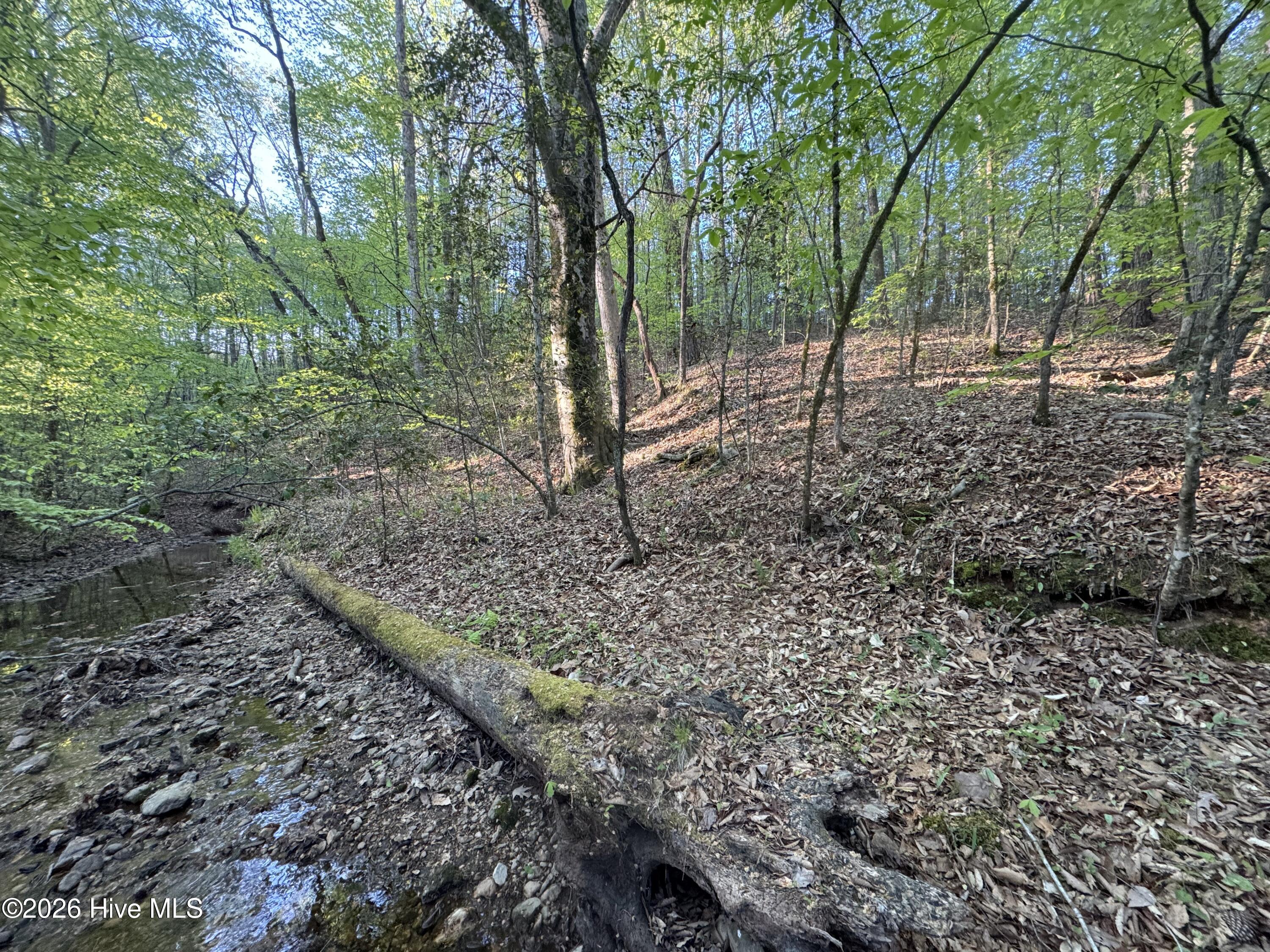 0 Cartledge Creek Road Property Photo 14