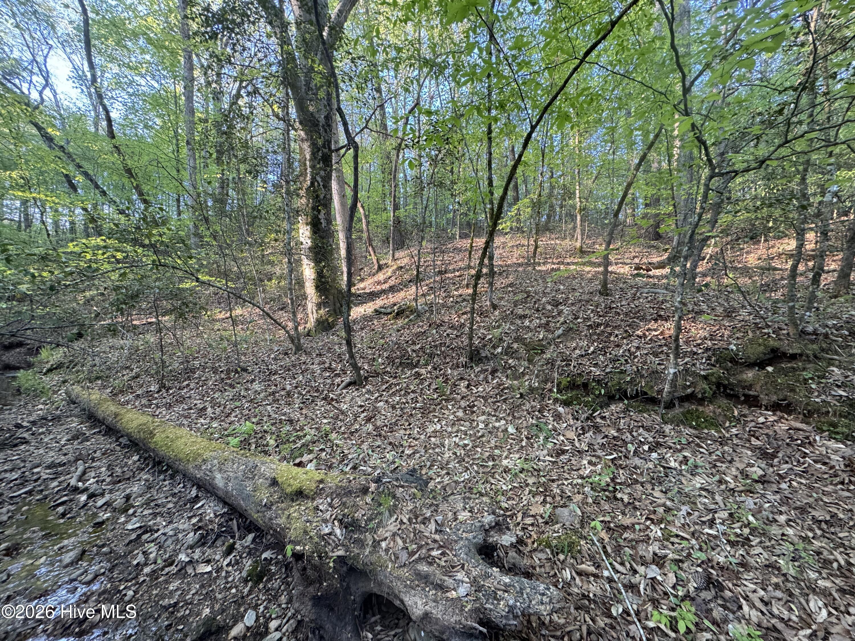 0 Cartledge Creek Road Property Photo 15