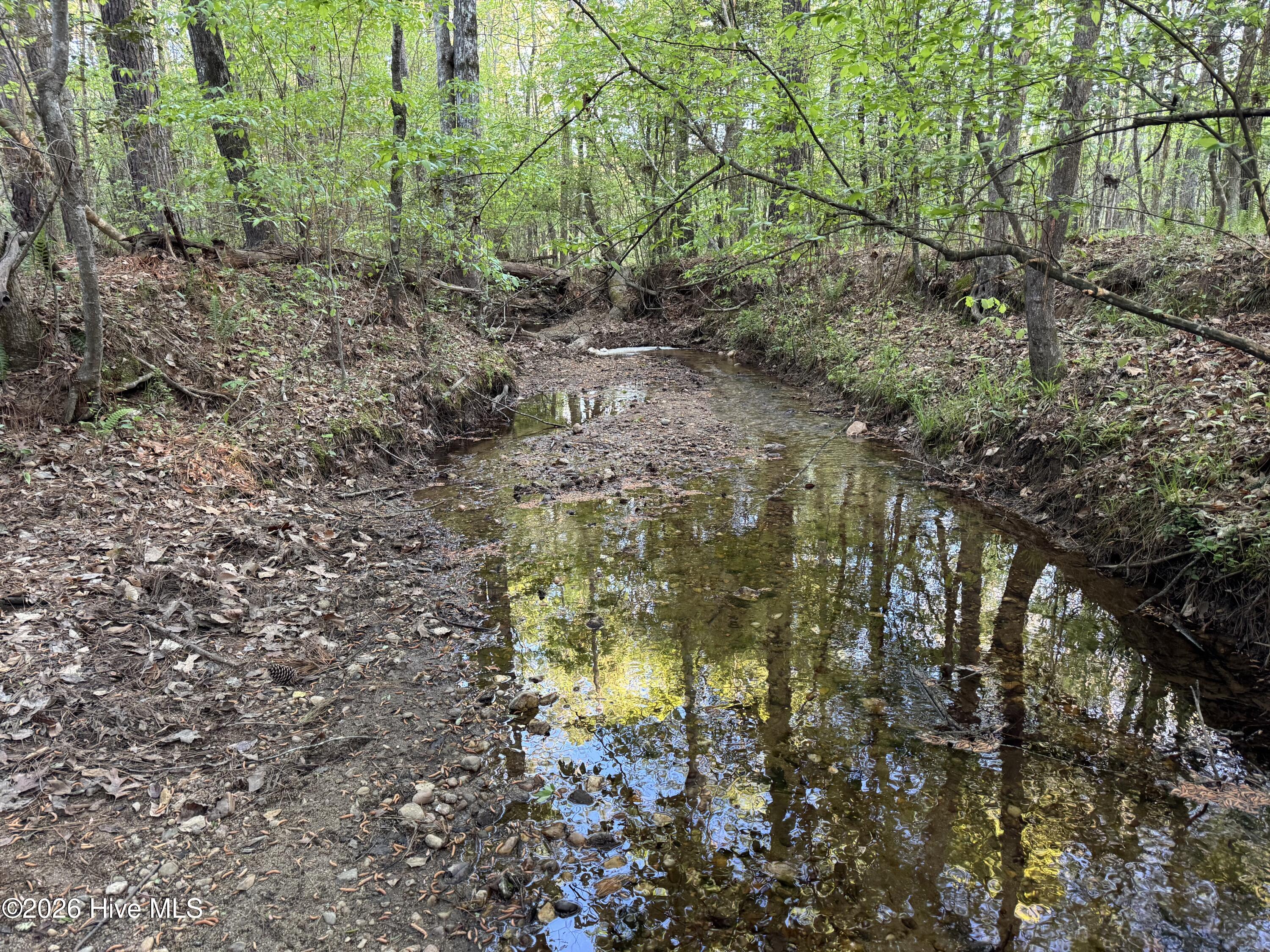 0 Cartledge Creek Road Property Photo 17