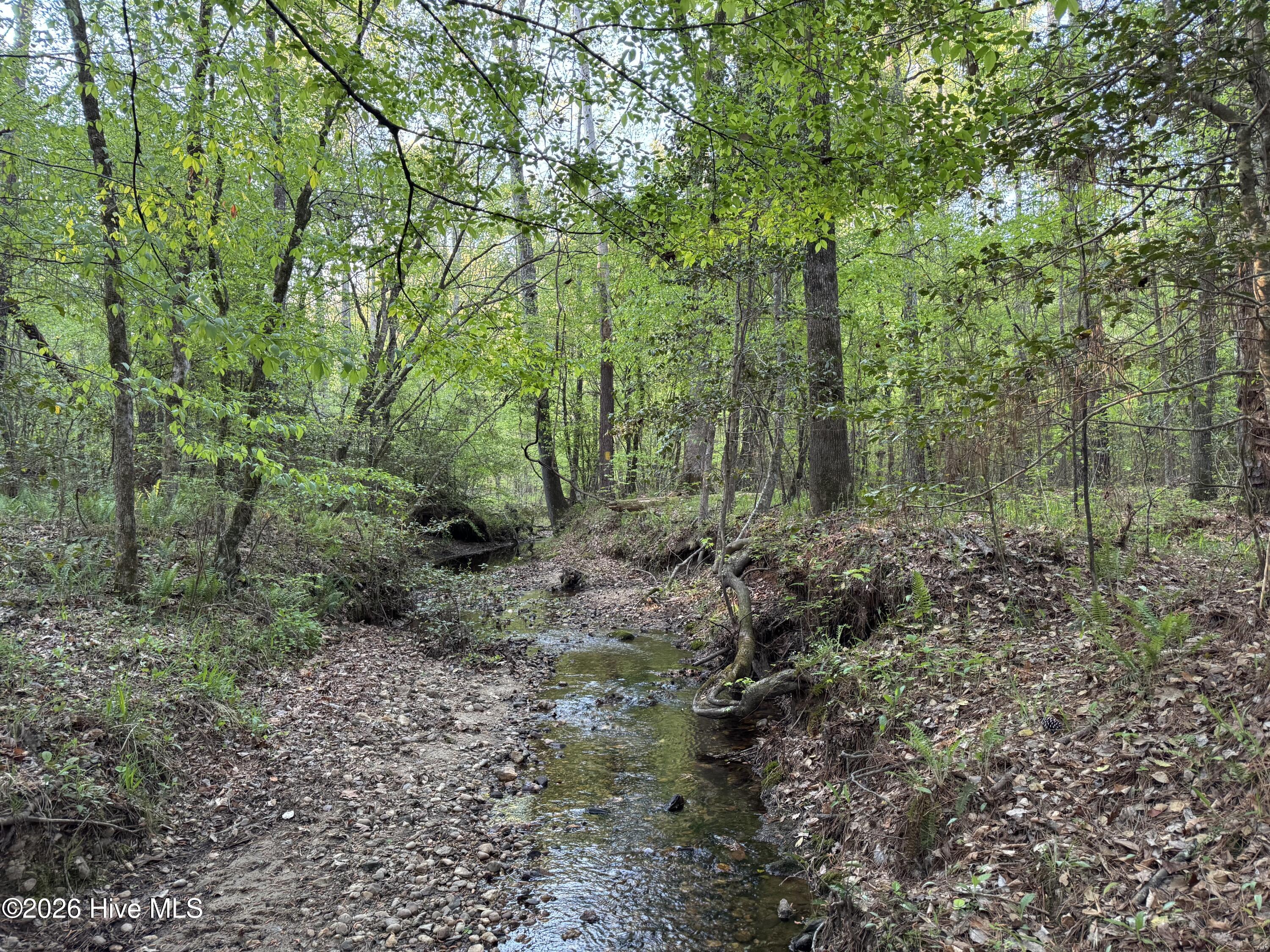 0 Cartledge Creek Road Property Photo 18