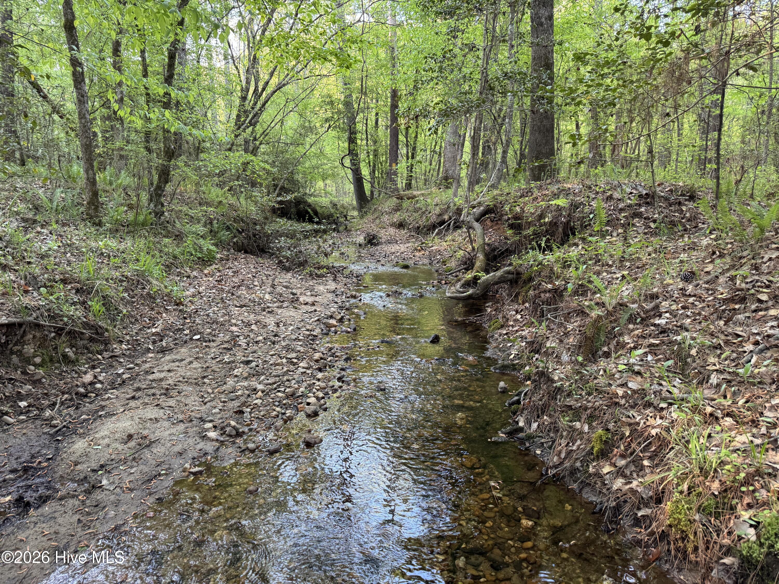 0 Cartledge Creek Road Property Photo 19