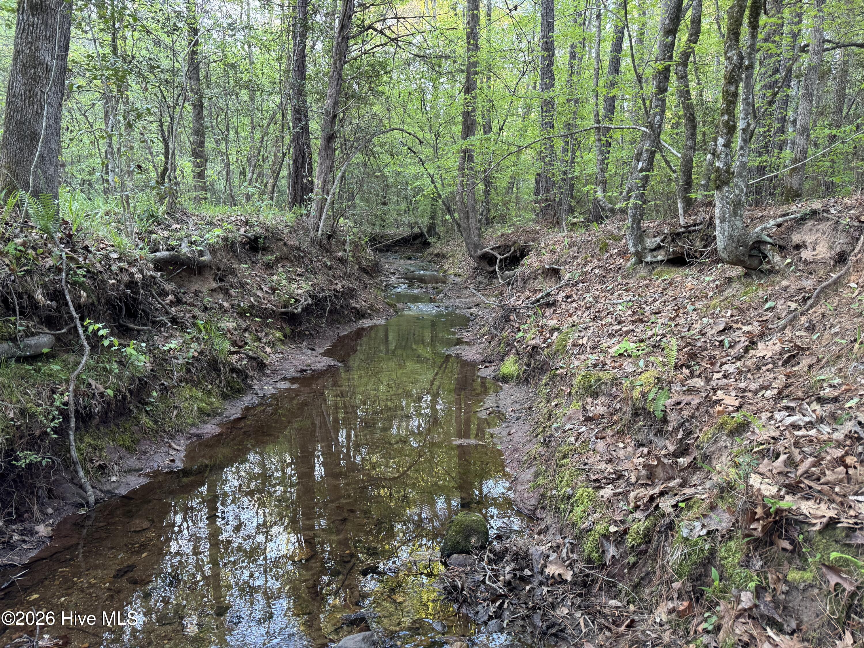 0 Cartledge Creek Road Property Photo 21