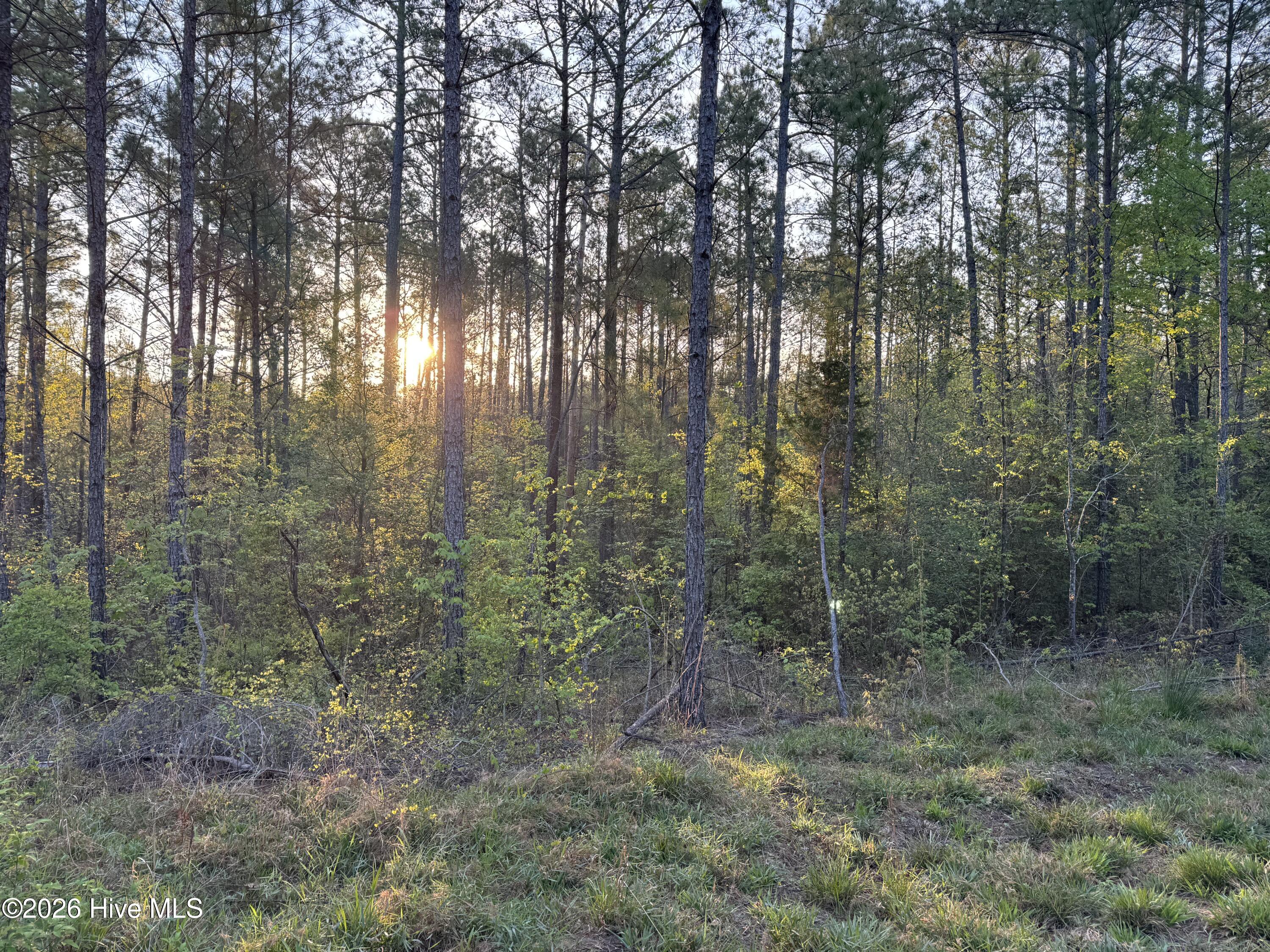 0 Cartledge Creek Road Property Photo 23