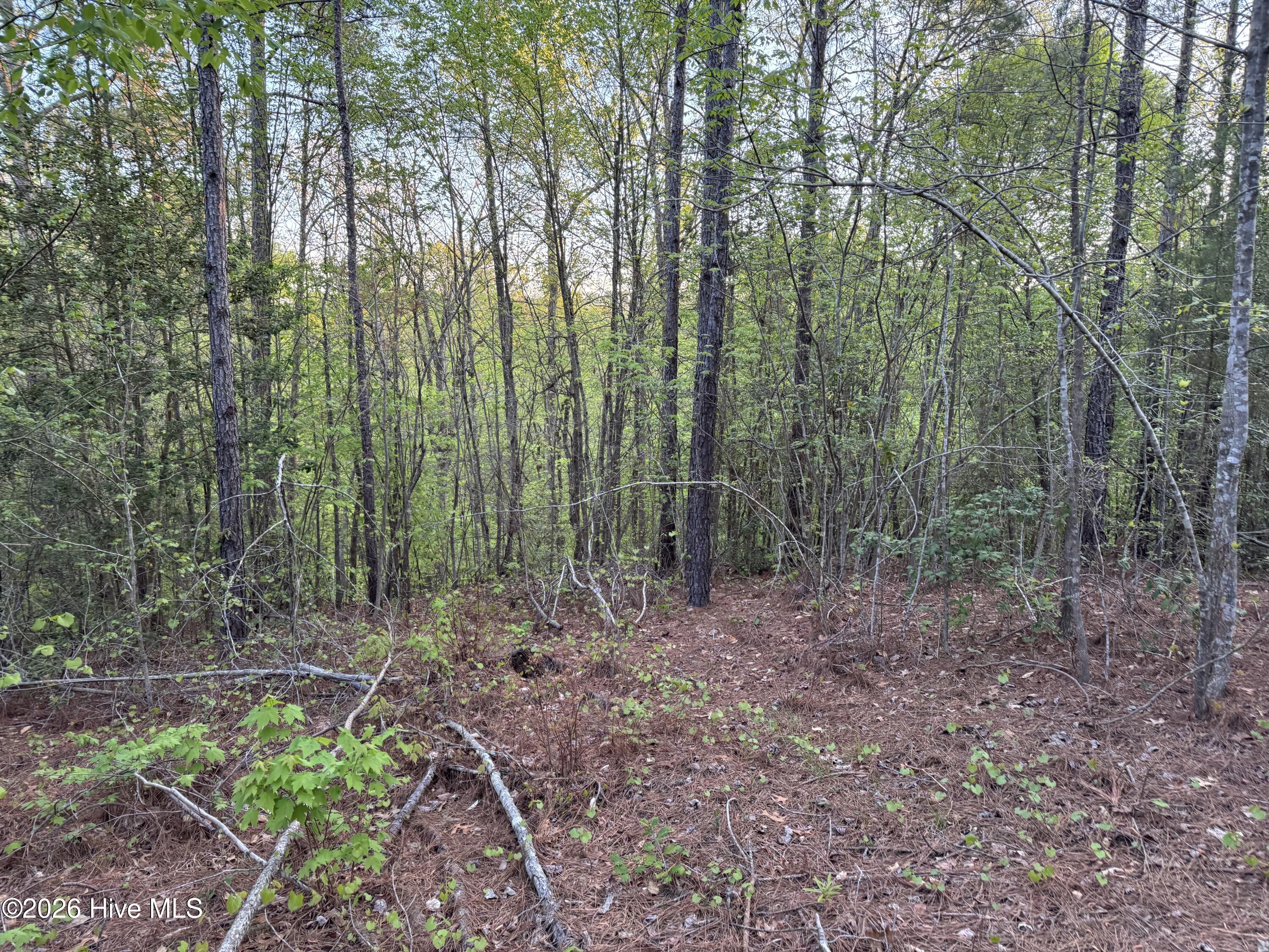 0 Cartledge Creek Road Property Photo 26