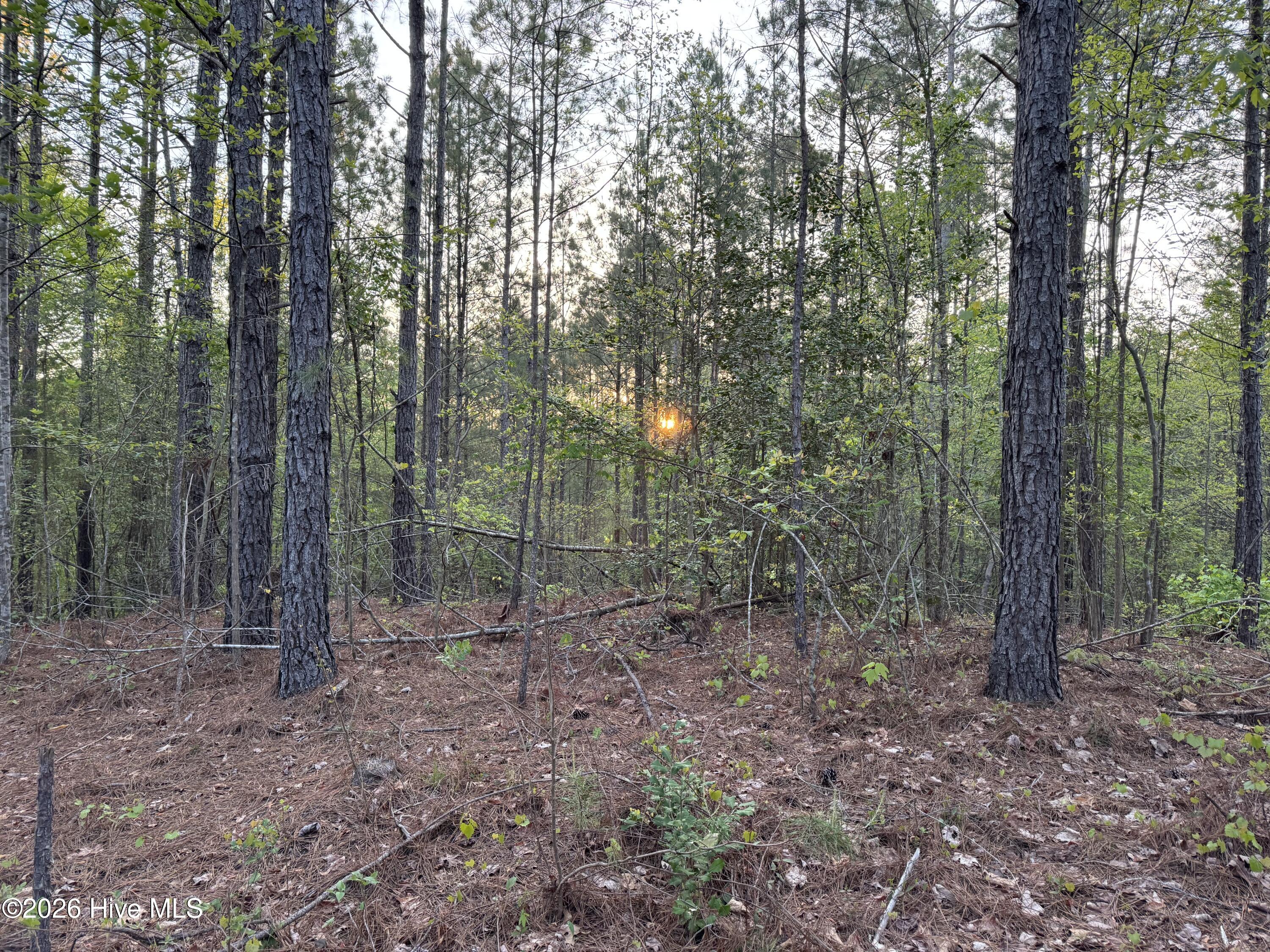 0 Cartledge Creek Road Property Photo 27