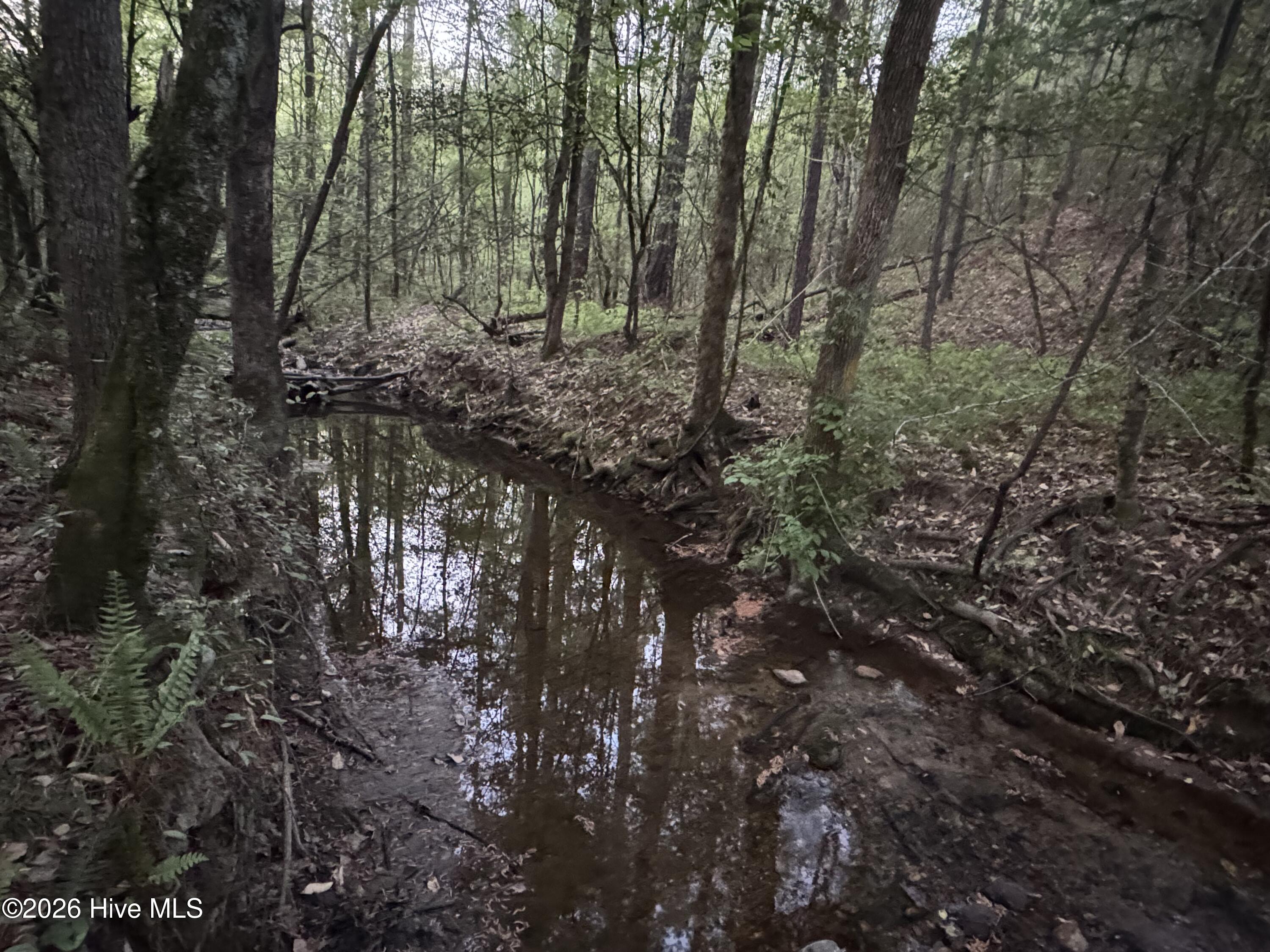 0 Cartledge Creek Road Property Photo 31