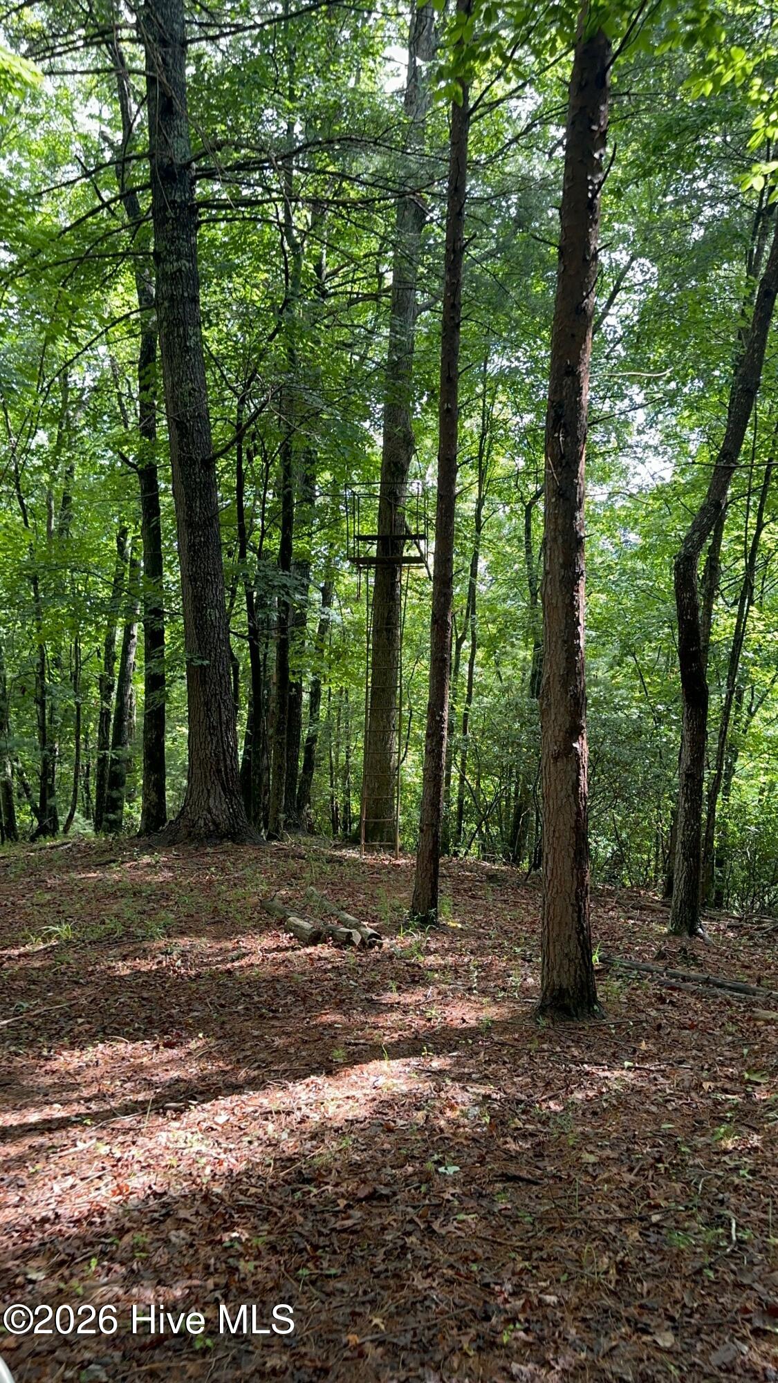 1038 Blackburn Hollow Road Property Photo 34