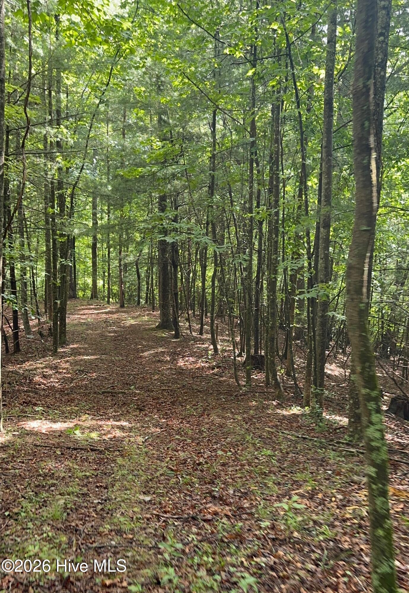 1038 Blackburn Hollow Road Property Photo 35