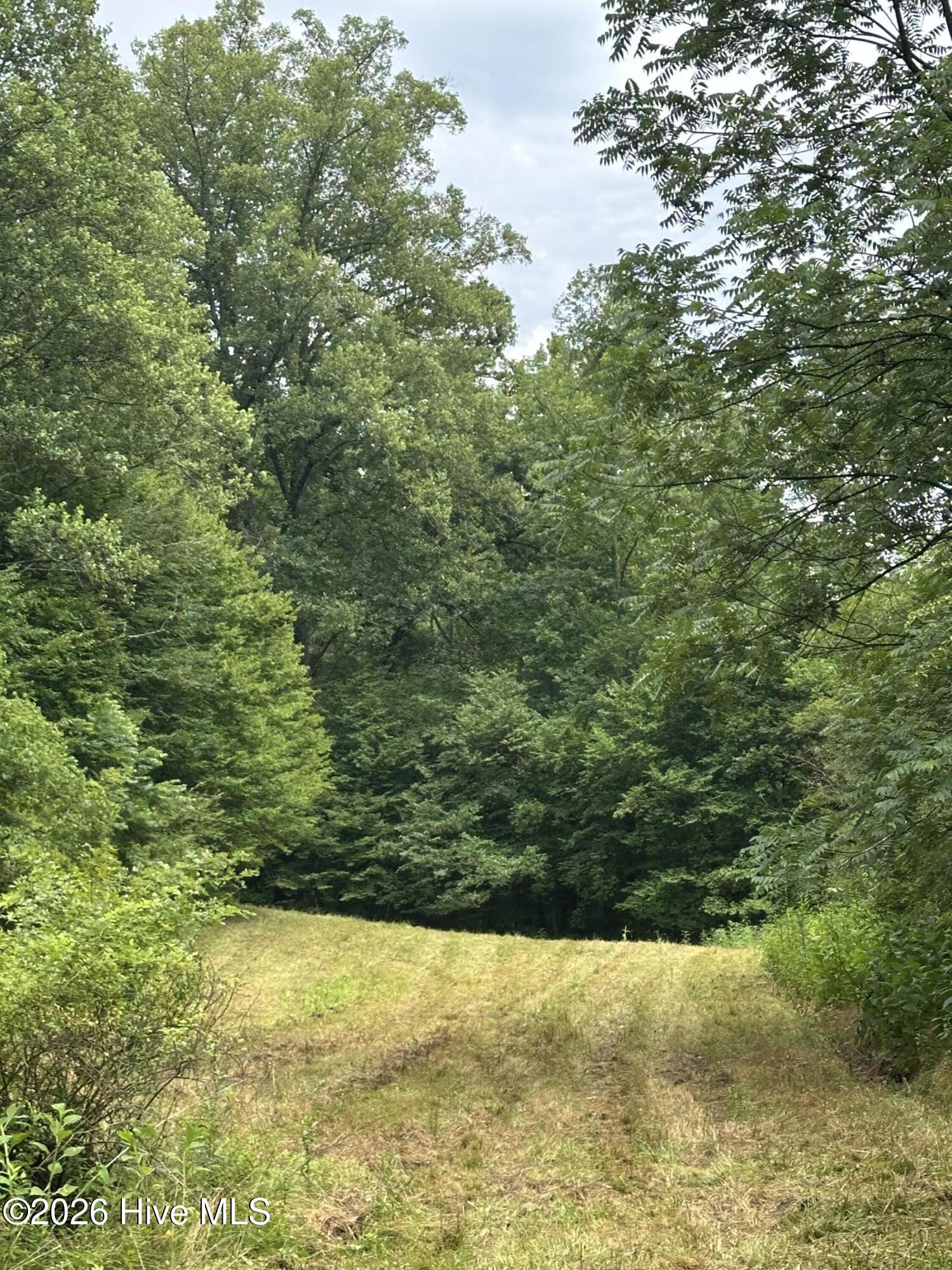 1038 Blackburn Hollow Road Property Photo 37