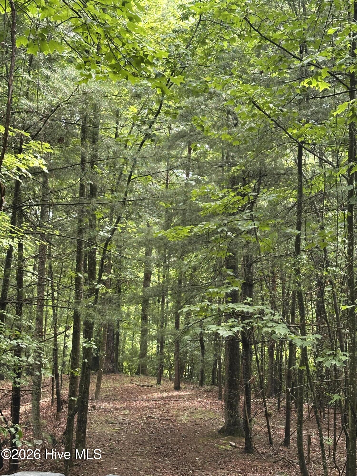 1038 Blackburn Hollow Road Property Photo 38