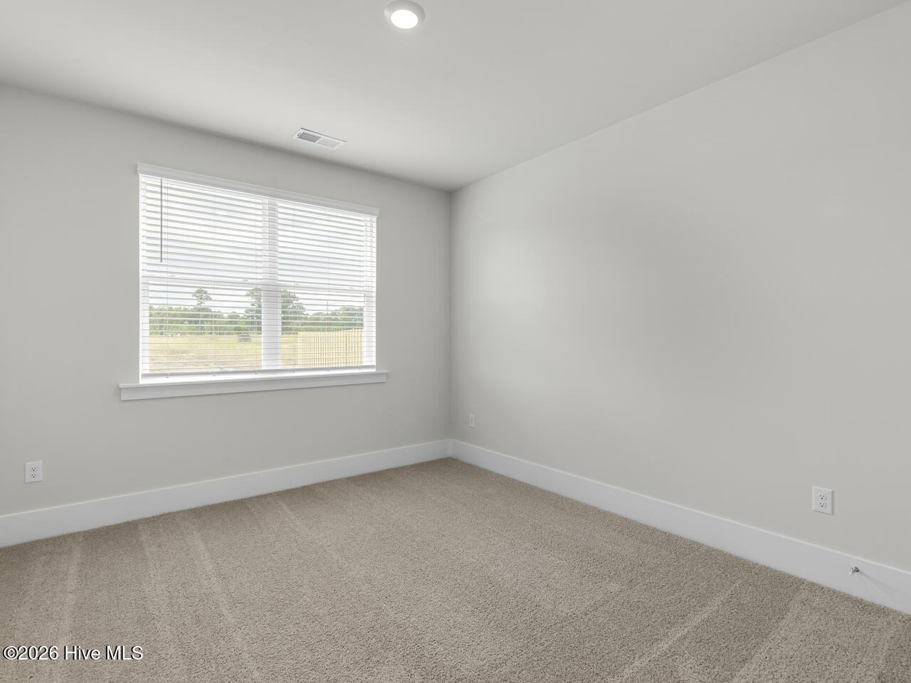 416 Matthews Farm Road Lot 184 Property Photo 21
