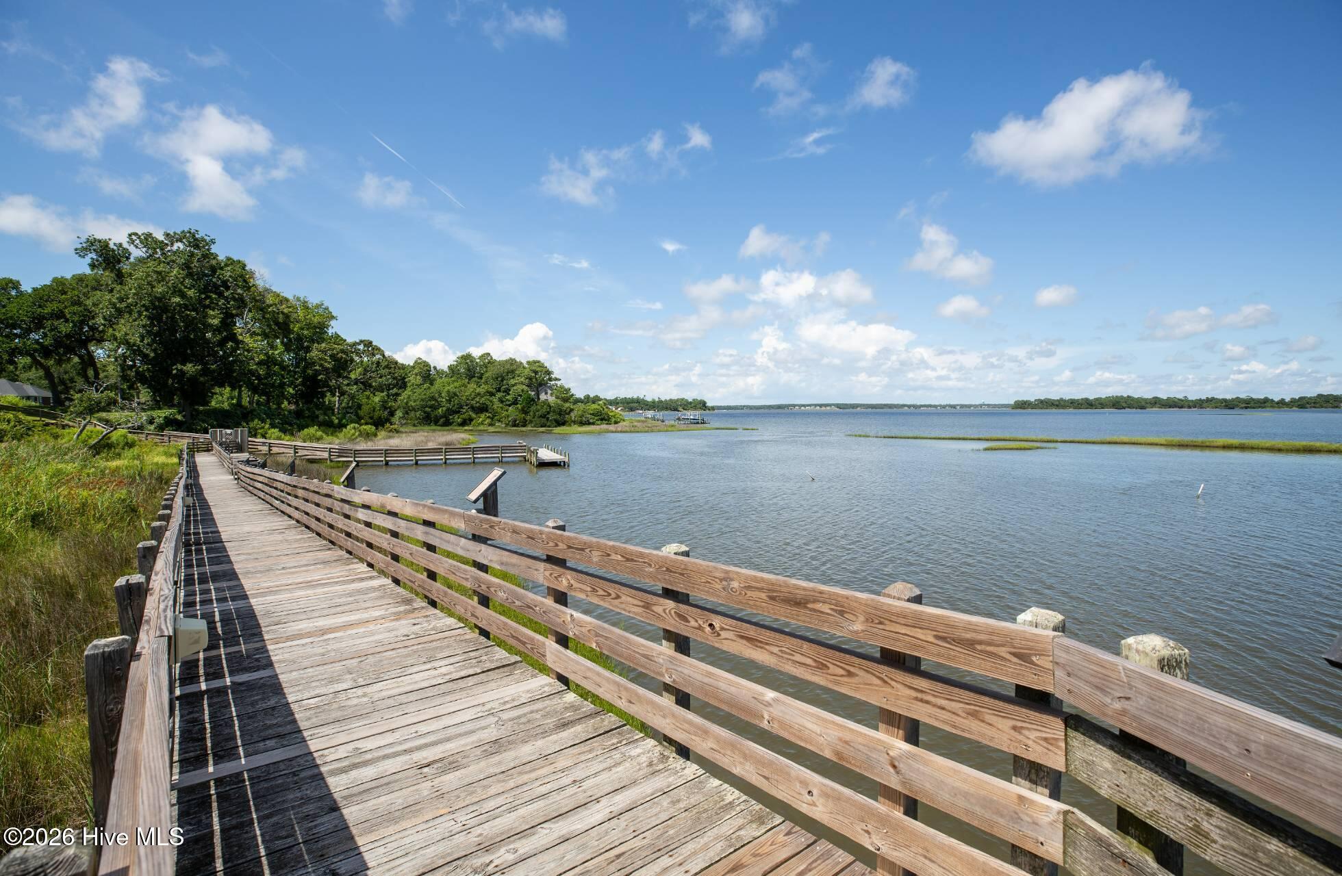 416 Matthews Farm Road Lot 184 Property Photo 50