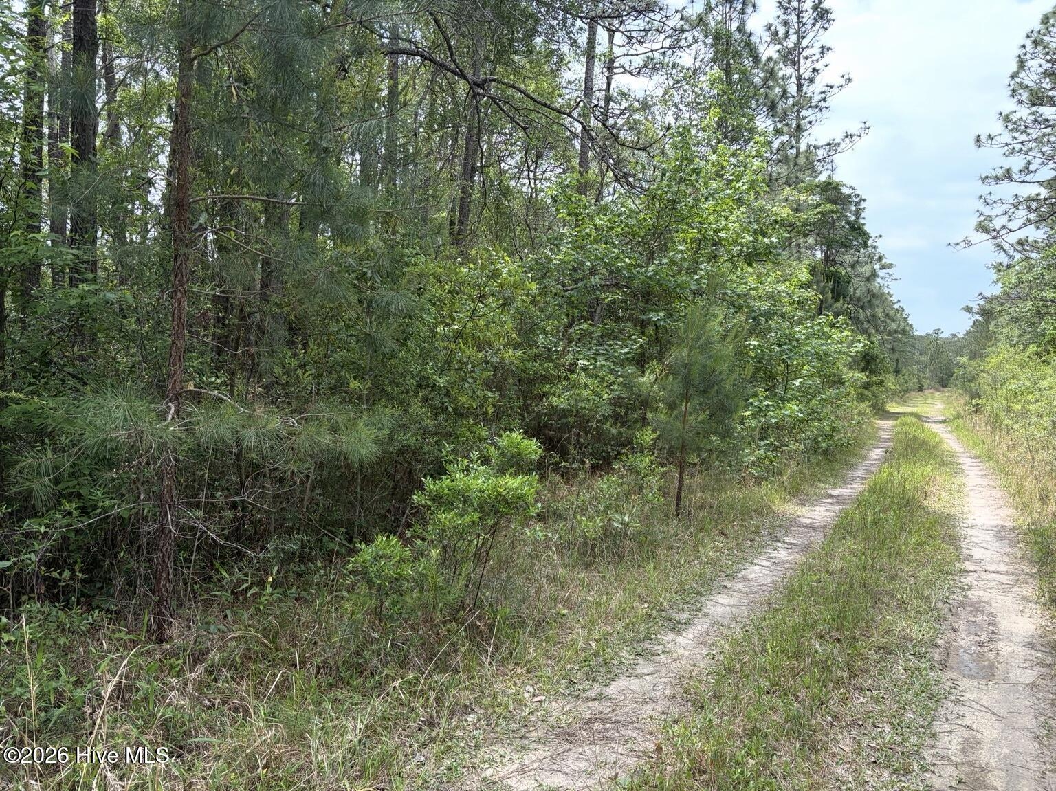 L 113 13 Chimney Swift Lane Se Property Photo 3