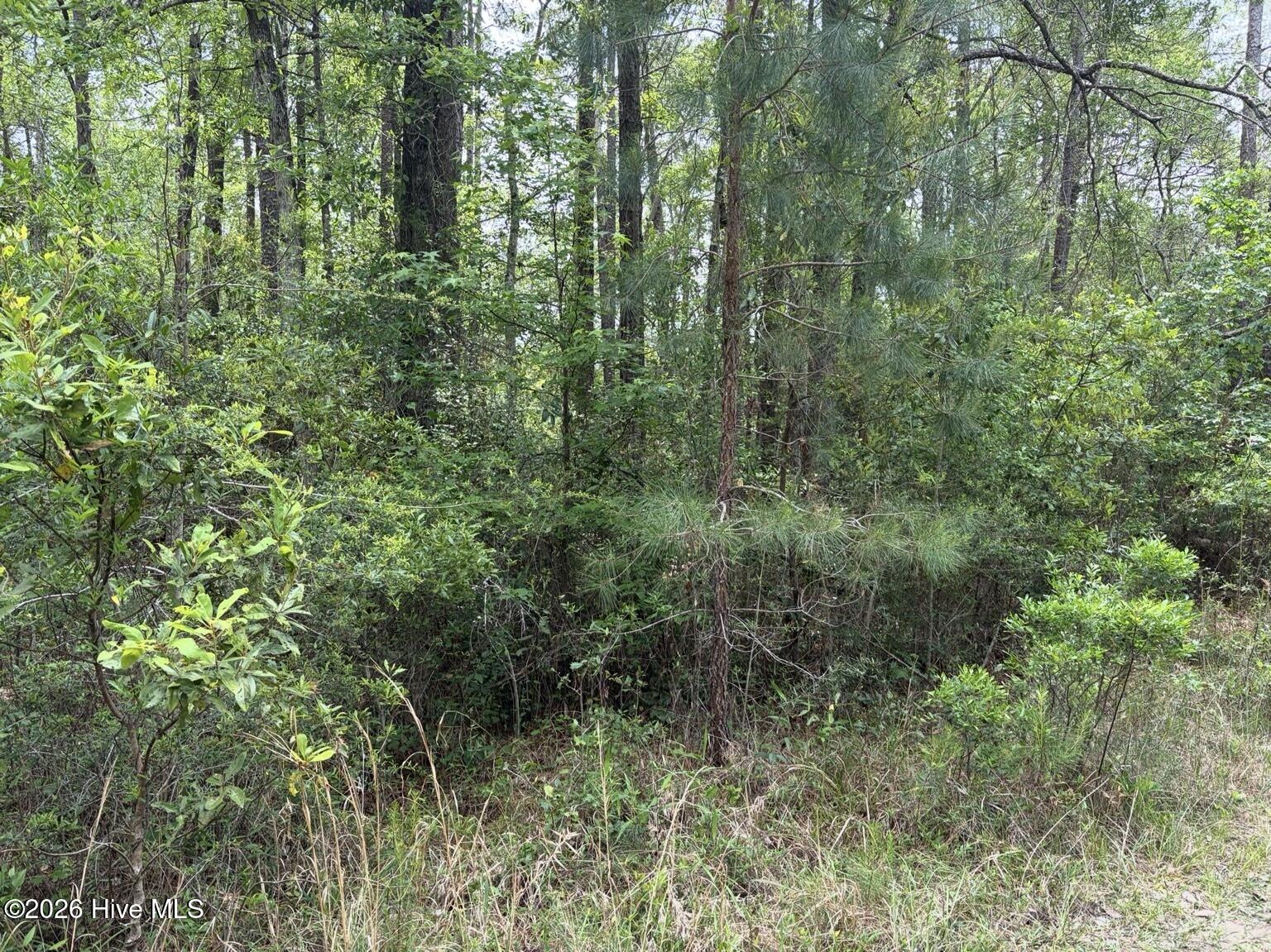 L 113 13 Chimney Swift Lane Se Property Photo 4
