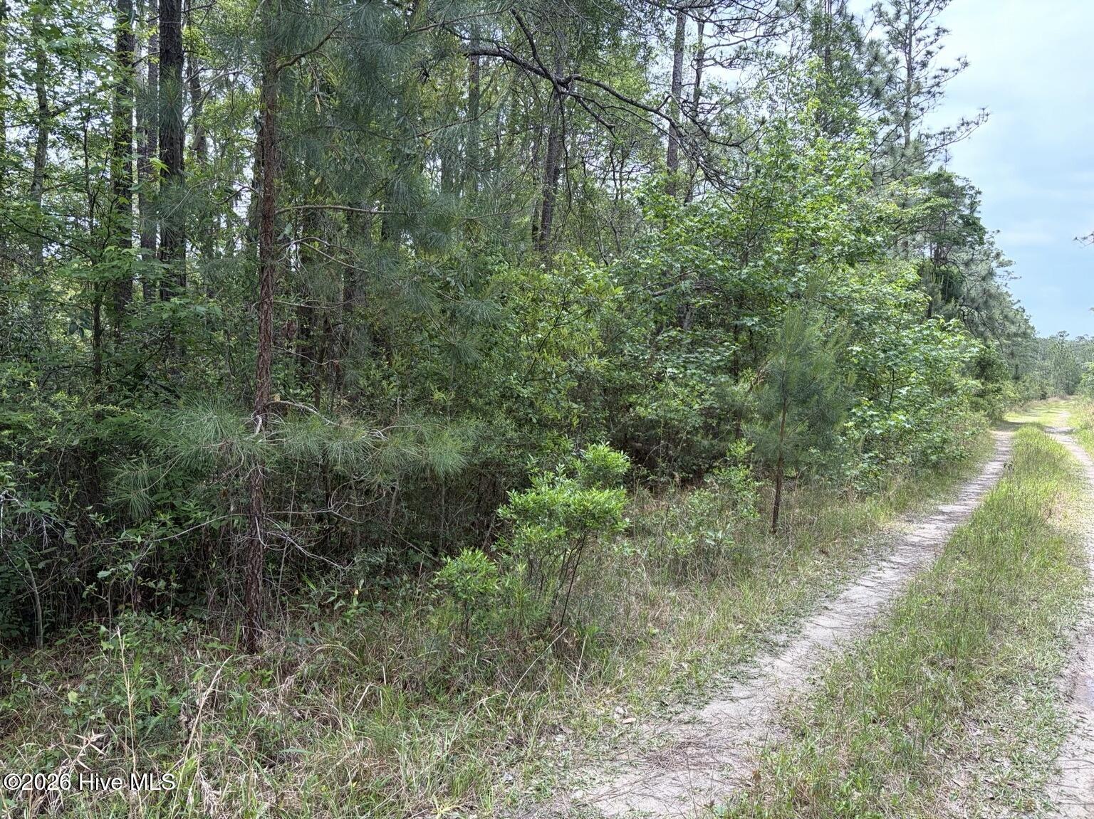 L 113 13 Chimney Swift Lane Se Property Photo 5