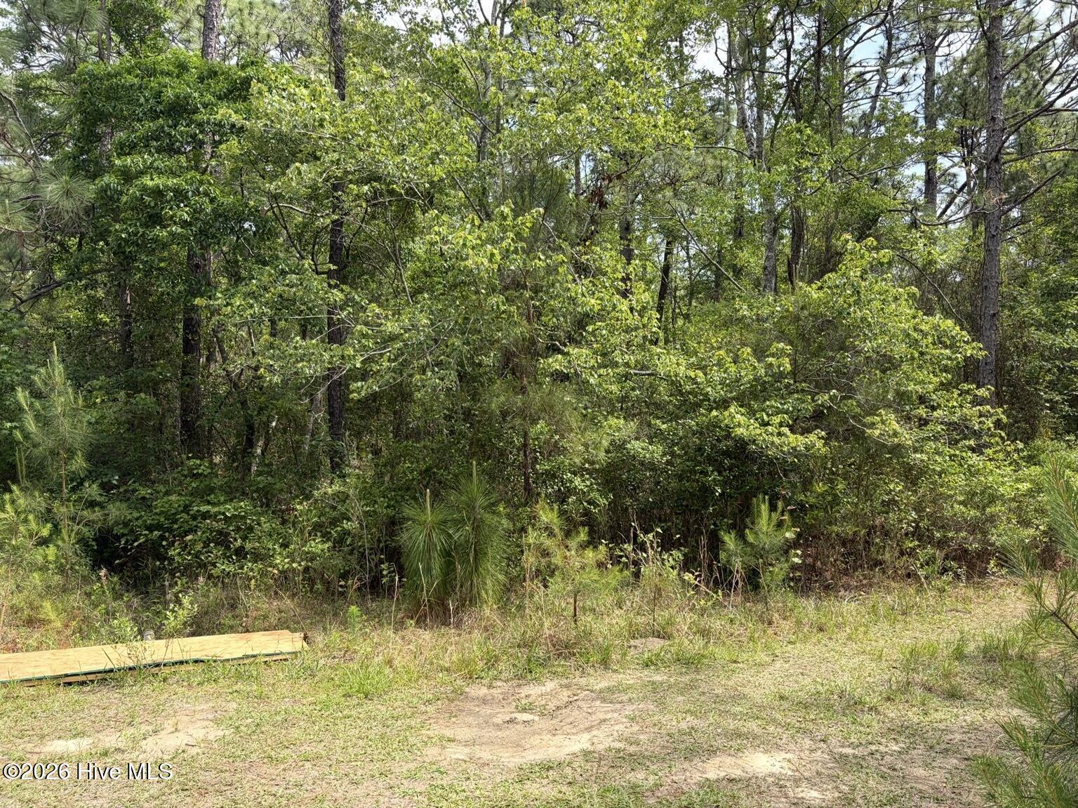 L 113 13 Chimney Swift Lane Se Property Photo 6