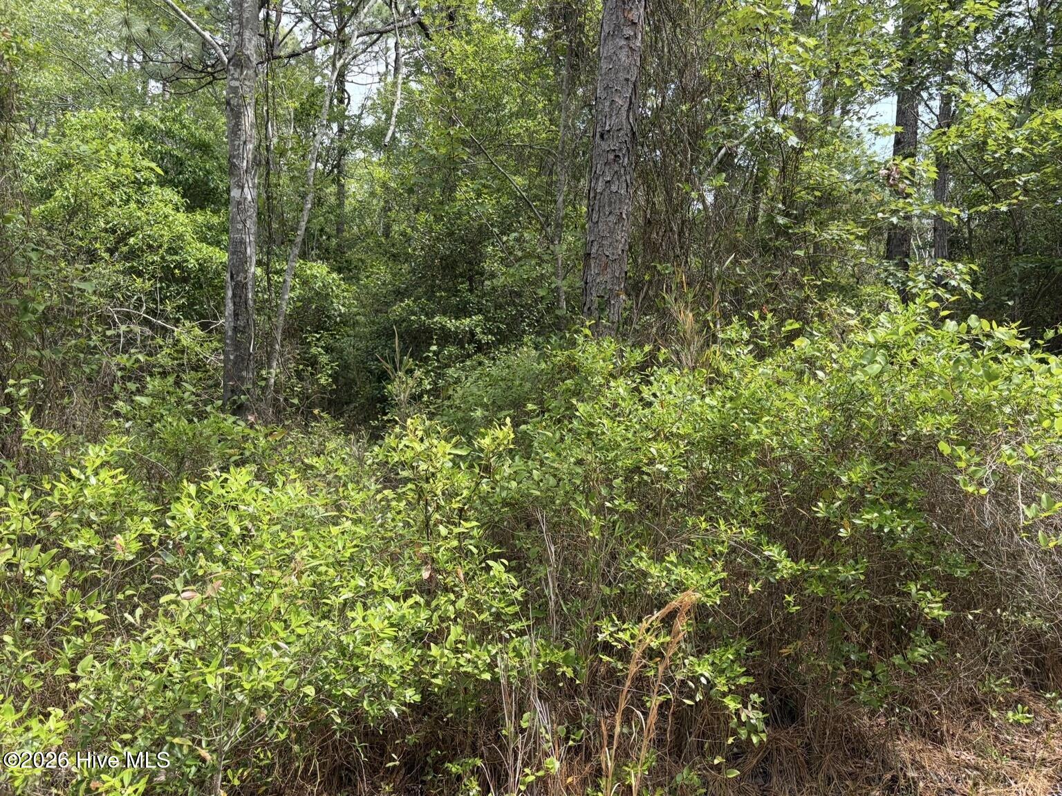 L 113 13 Chimney Swift Lane Se Property Photo 7