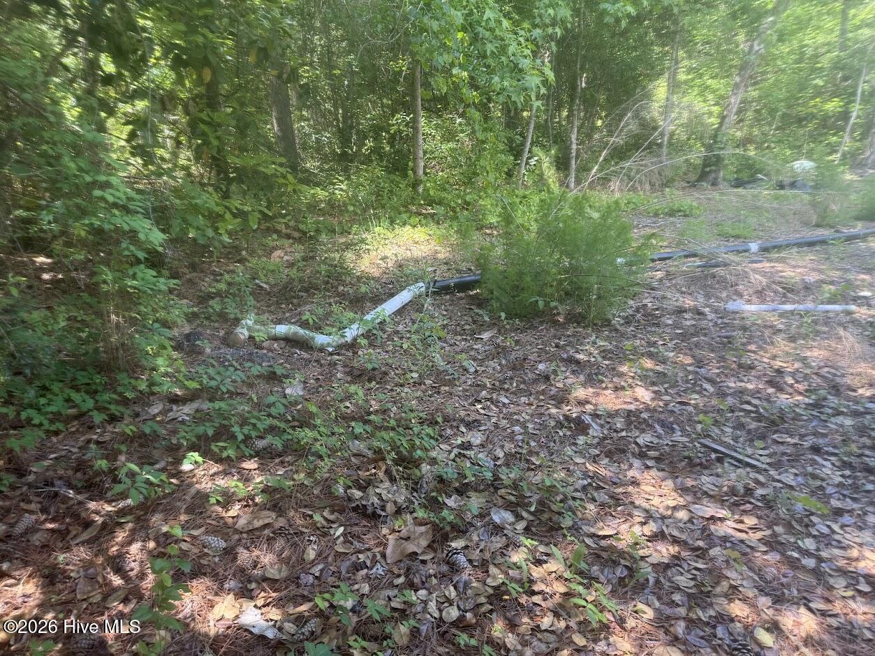137 Wayne Road Property Photo 5