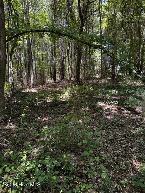 Lot 1 Dan Road Property Photo 6