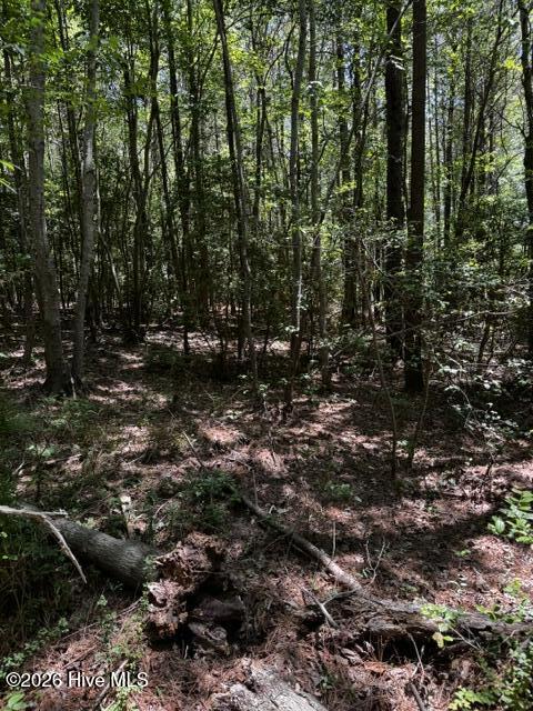 Lot 1 Dan Road Property Photo 10