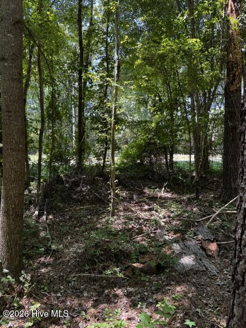 Lot 1 Dan Road Property Photo 11