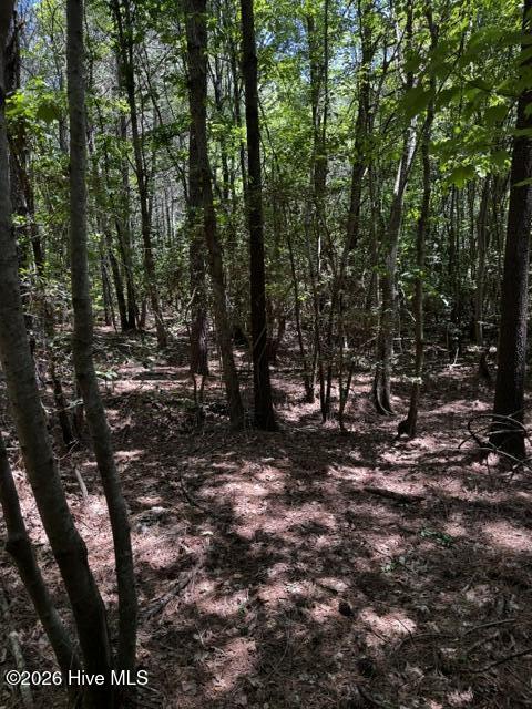 Lot 1 Dan Road Property Photo 15