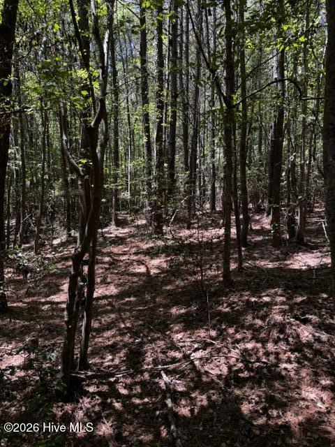 Lot 1 Dan Road Property Photo 17