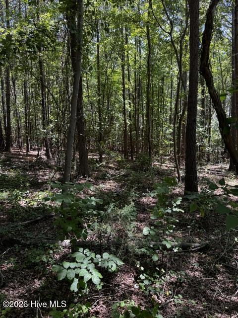 Lot 1 Dan Road Property Photo 19