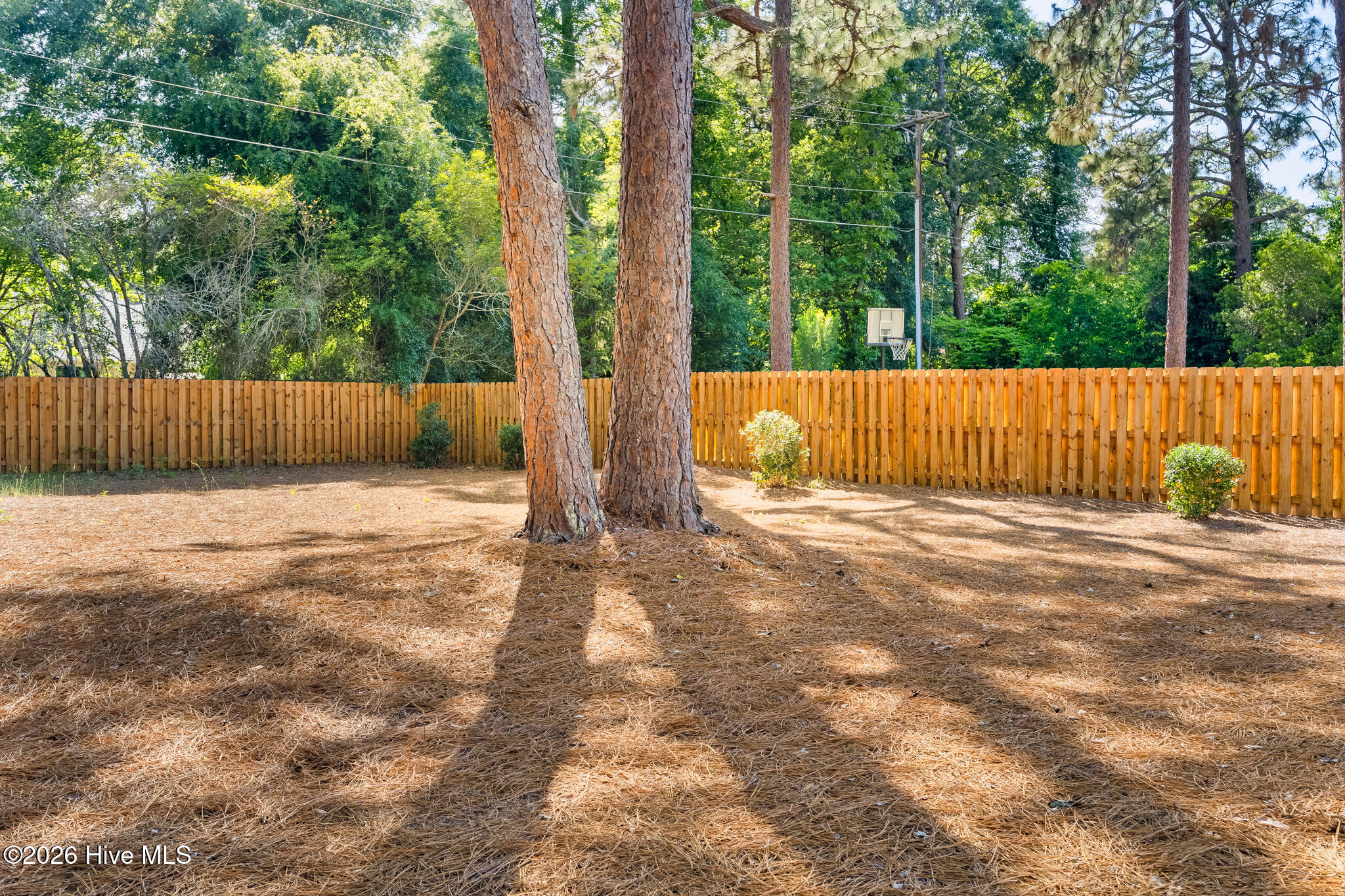 5 Mcleod Road Property Photo 28